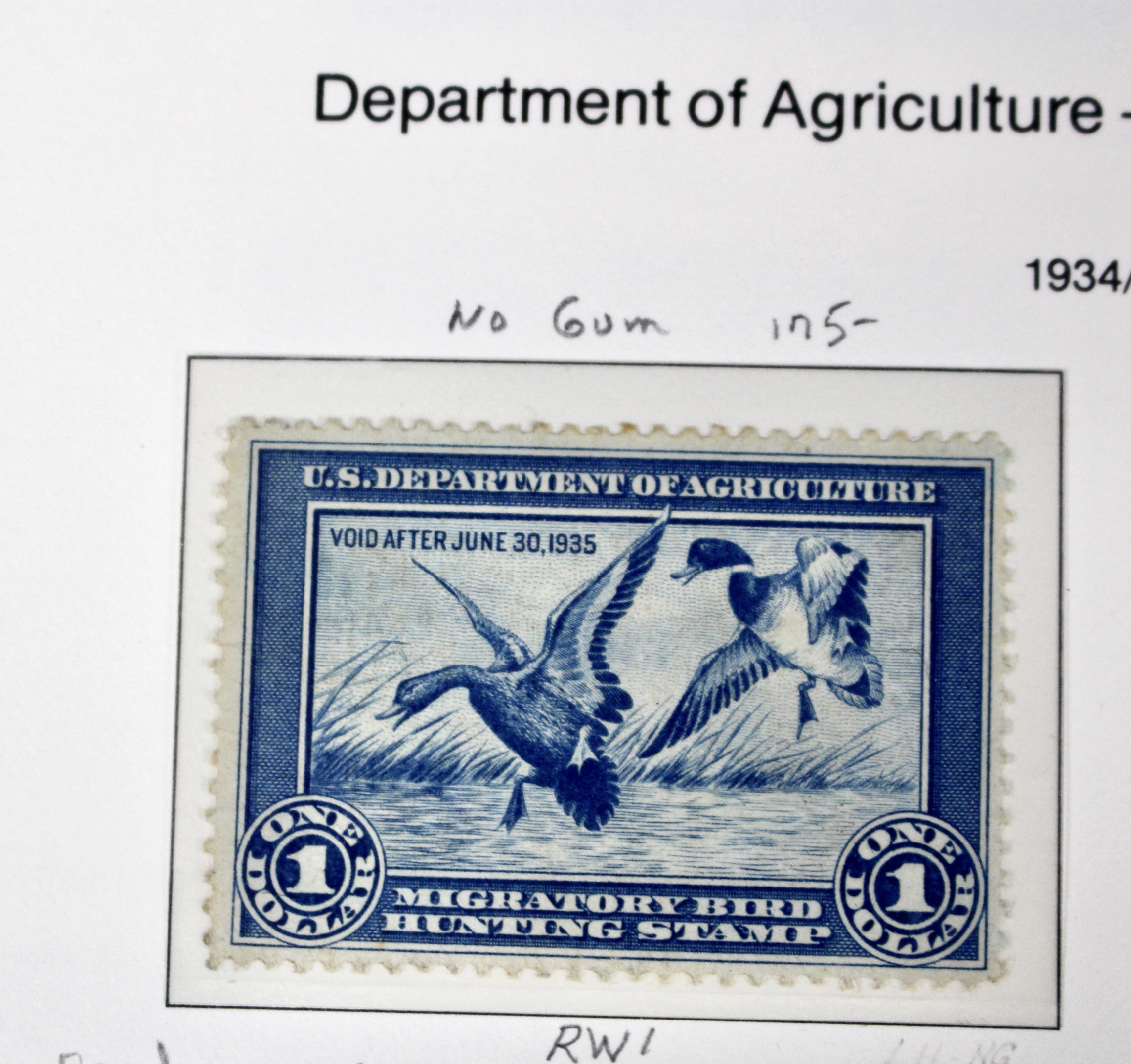 U.S. Duck Stamp Collection Including RW#s 1-6