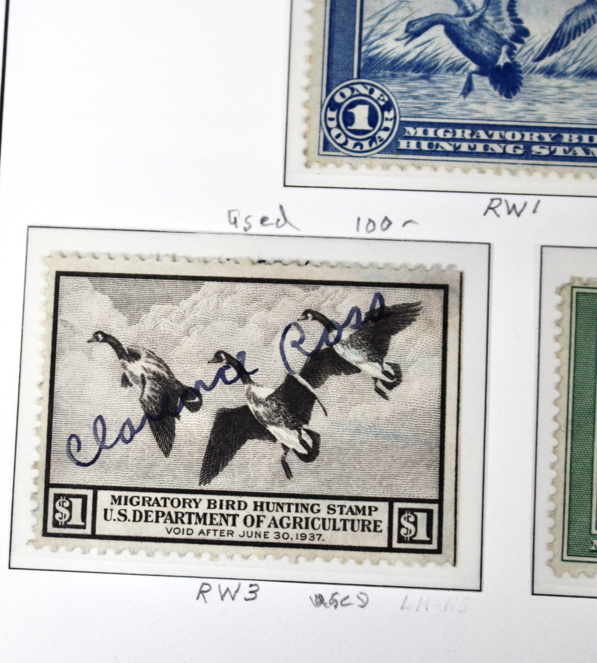 U.S. Duck Stamp Collection Including RW#s 1-6