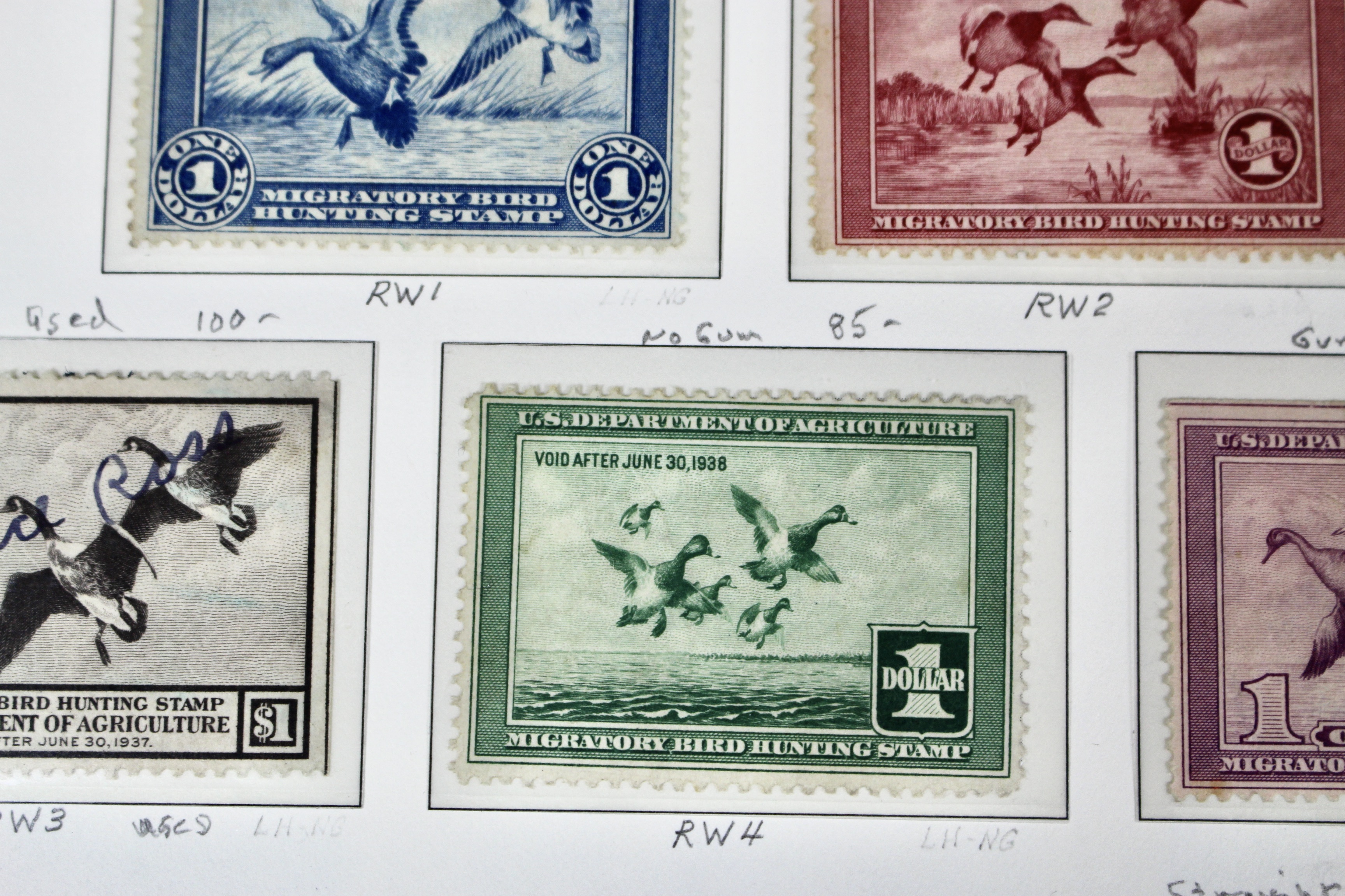 U.S. Duck Stamp Collection Including RW#s 1-6