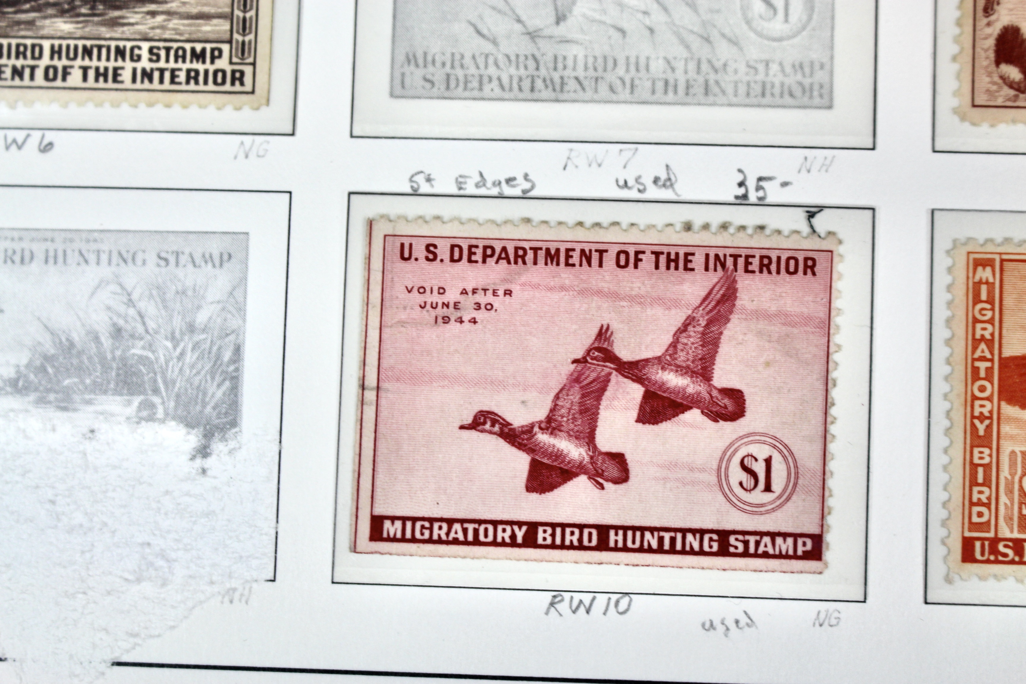 U.S. Duck Stamp Collection Including RW#s 1-6