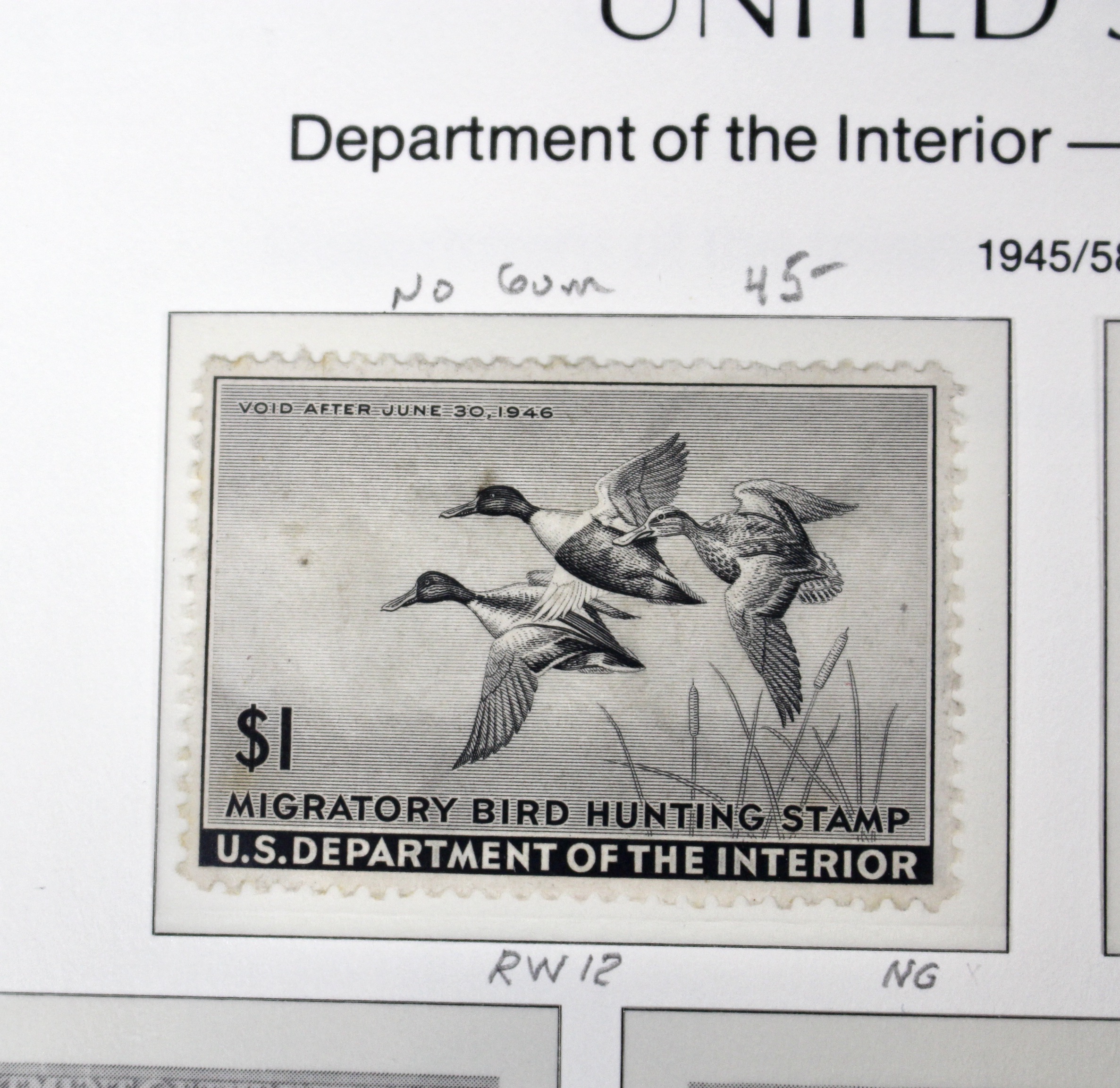 U.S. Duck Stamp Collection Including RW#s 1-6