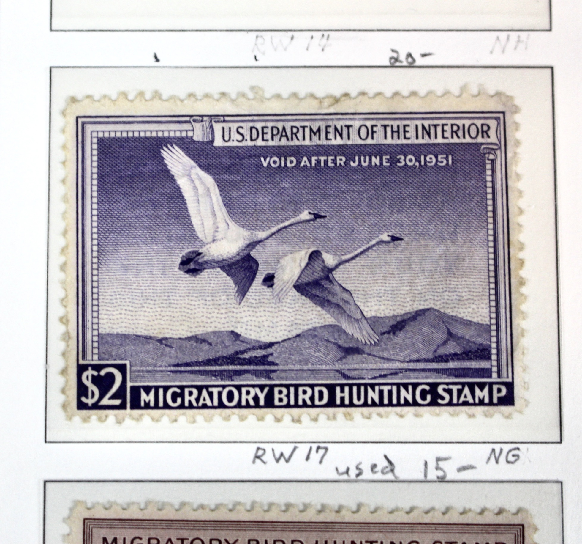 U.S. Duck Stamp Collection Including RW#s 1-6