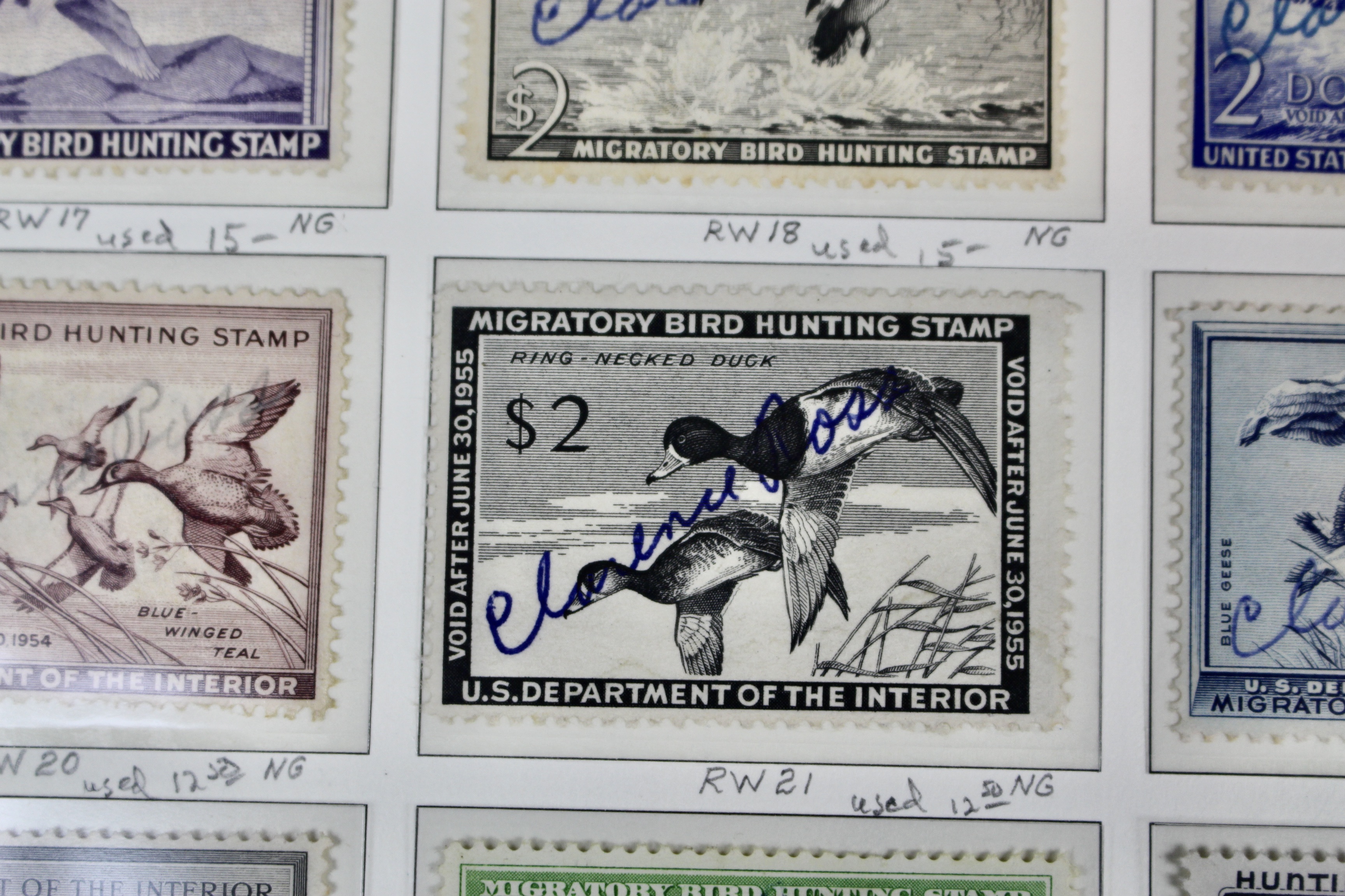 U.S. Duck Stamp Collection Including RW#s 1-6