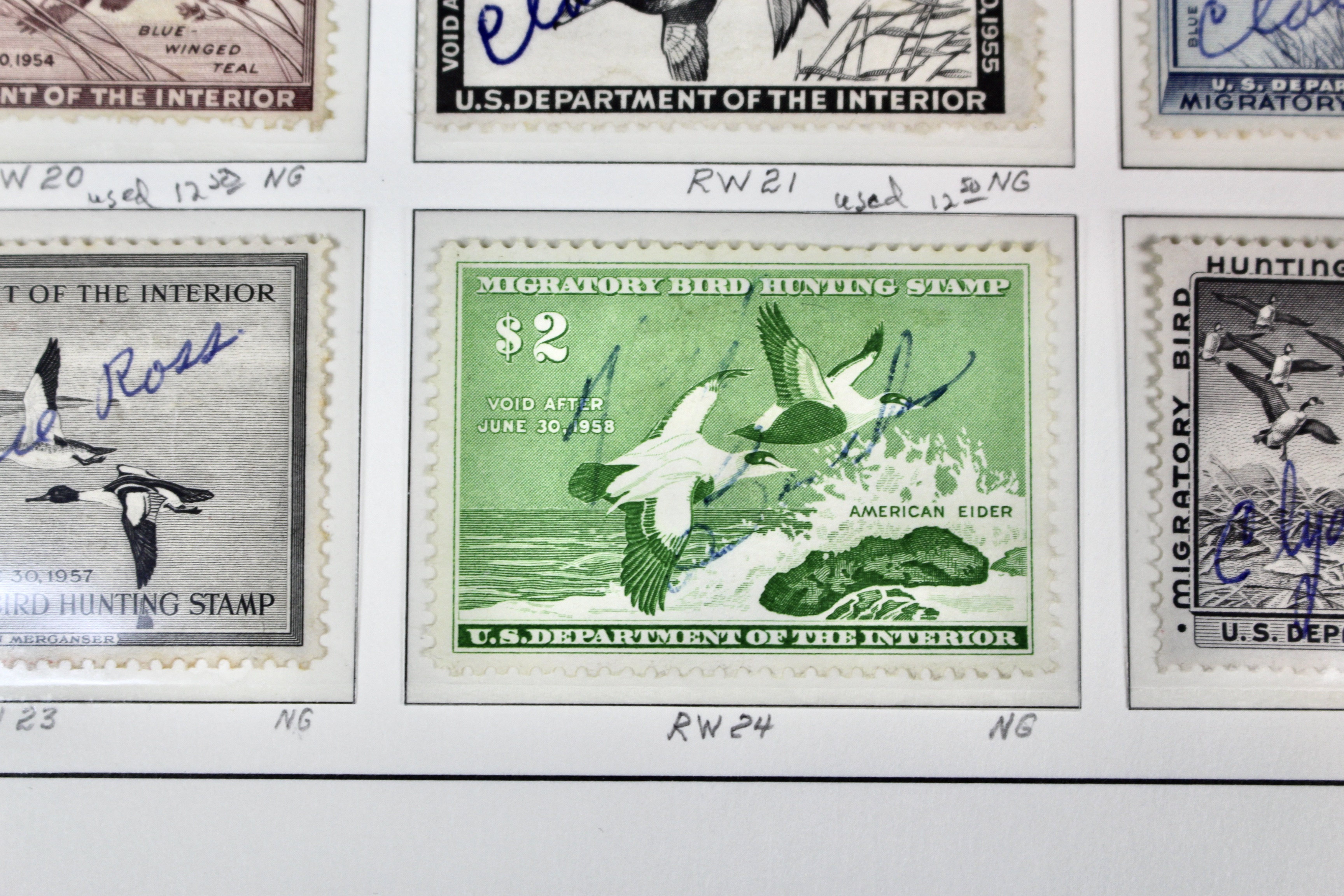 U.S. Duck Stamp Collection Including RW#s 1-6