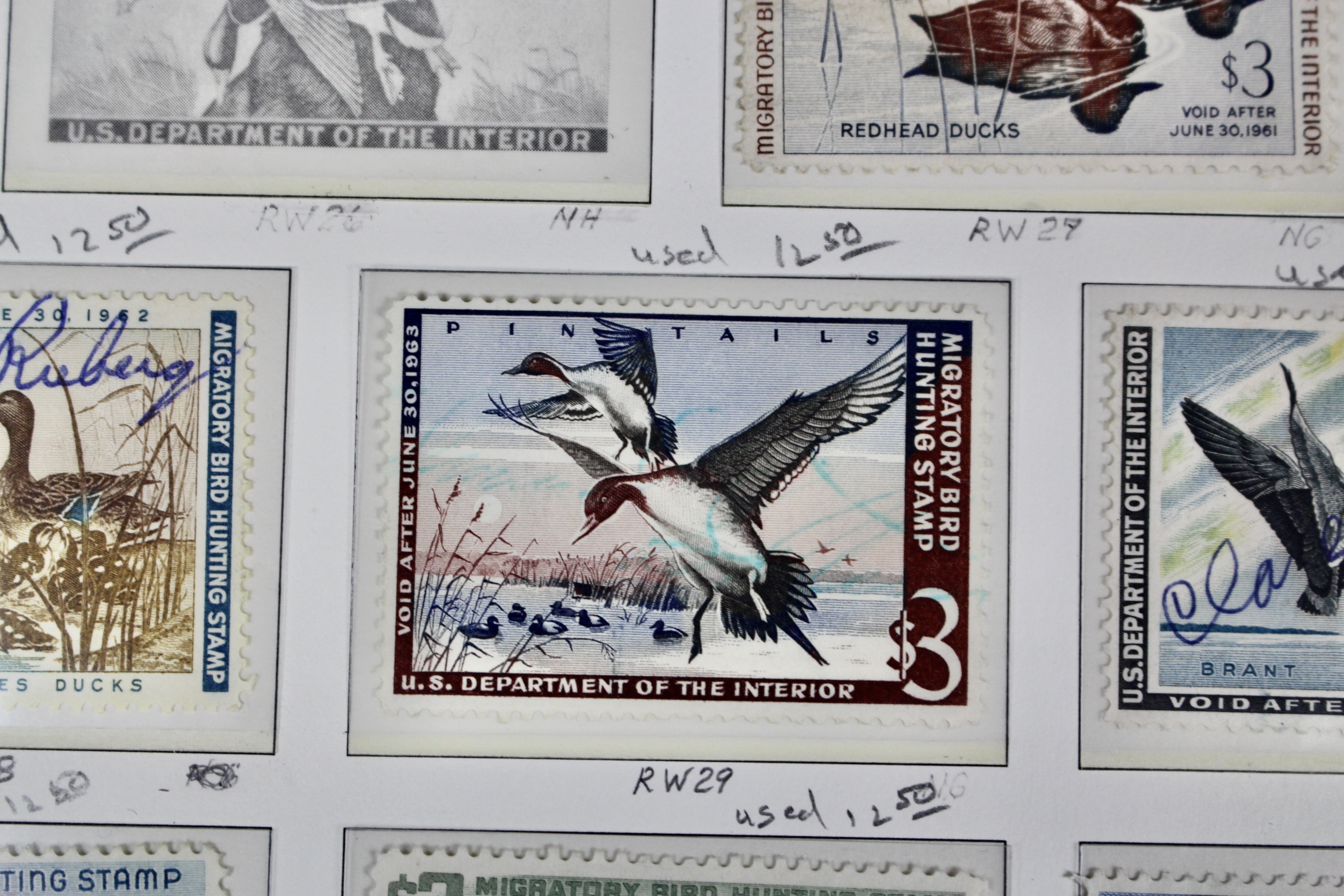 U.S. Duck Stamp Collection Including RW#s 1-6