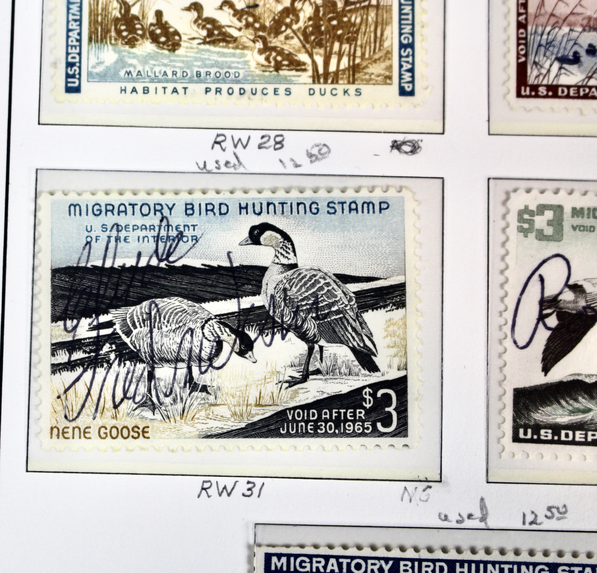 U.S. Duck Stamp Collection Including RW#s 1-6