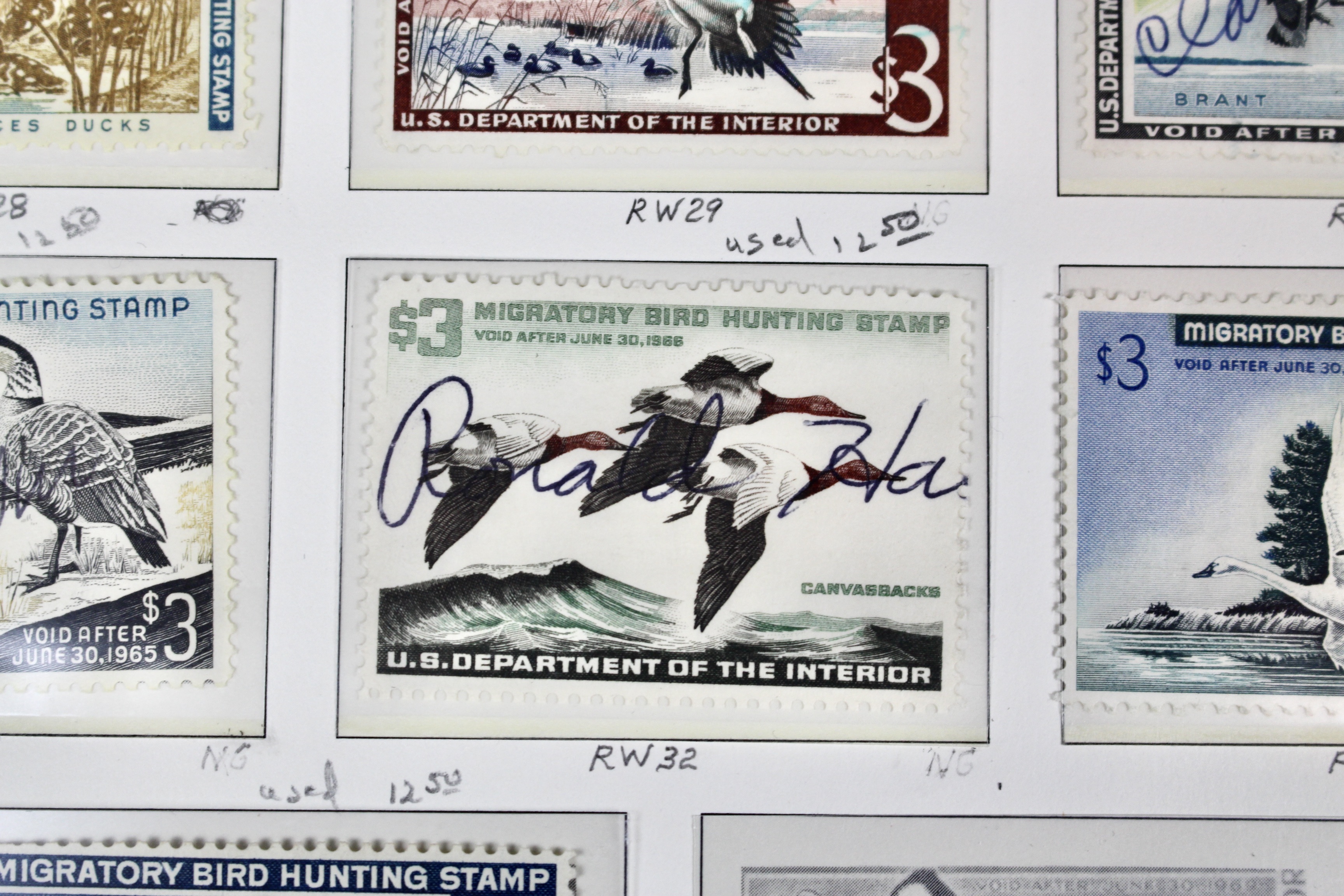 U.S. Duck Stamp Collection Including RW#s 1-6