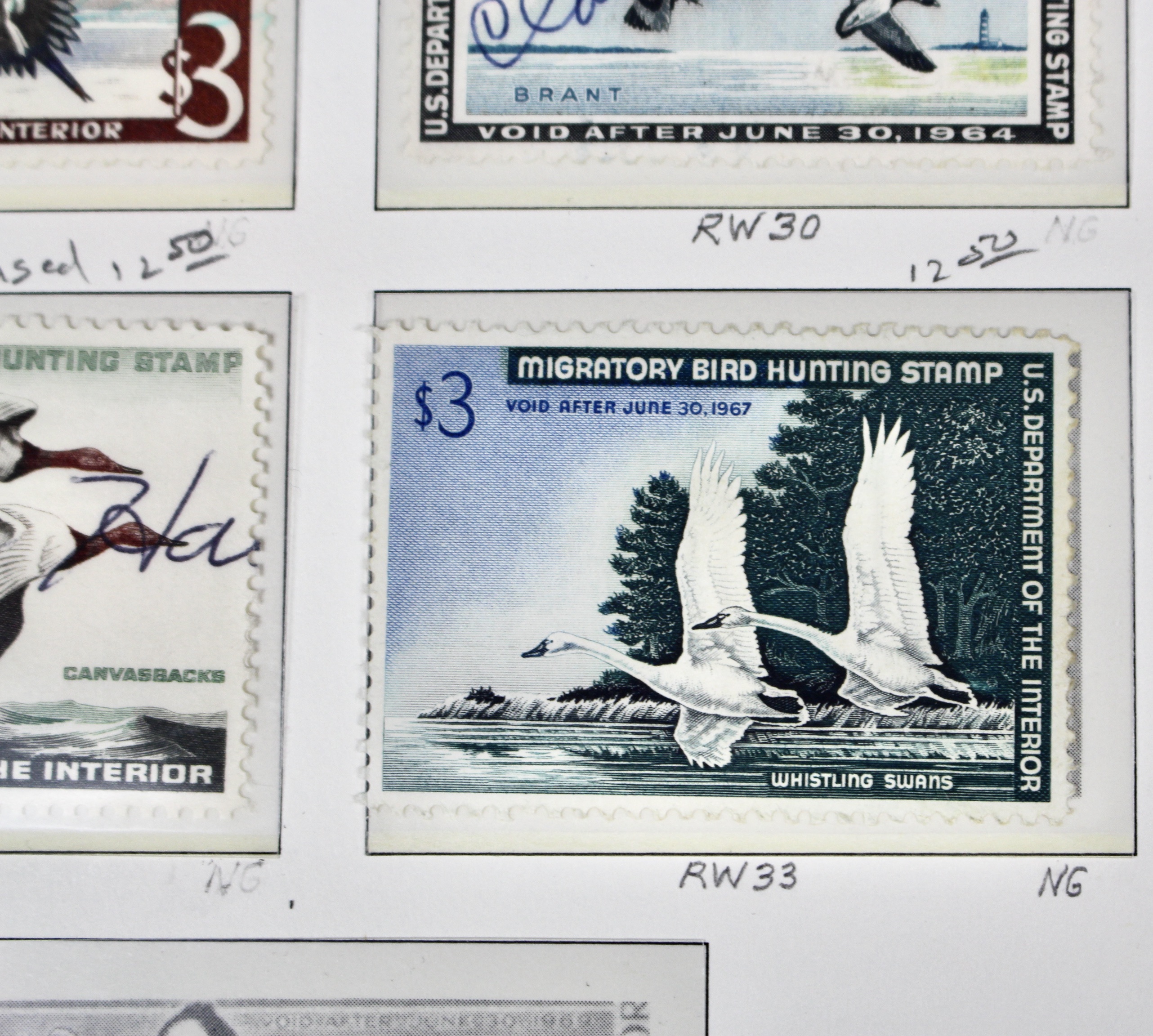 U.S. Duck Stamp Collection Including RW#s 1-6