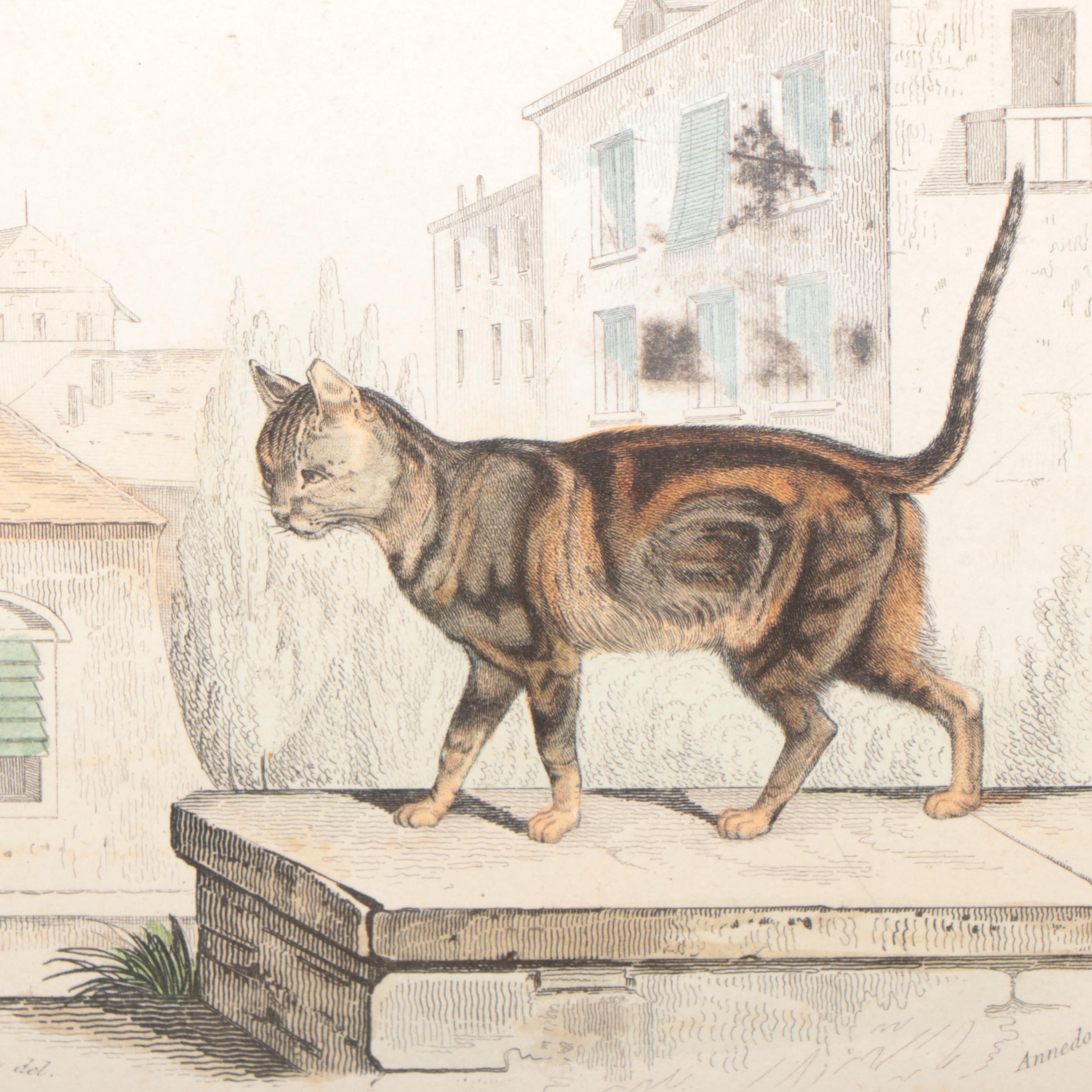 Hand-Colored Bookplate Engravings of Cats, Ducks and More, 19th Century