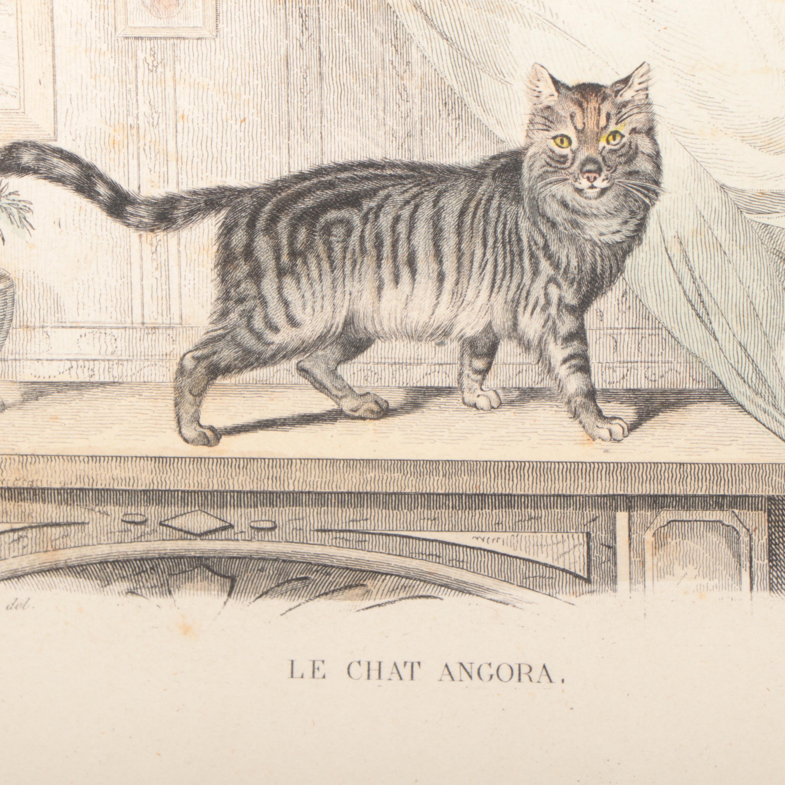 Hand-Colored Bookplate Engravings of Cats, Ducks and More, 19th Century