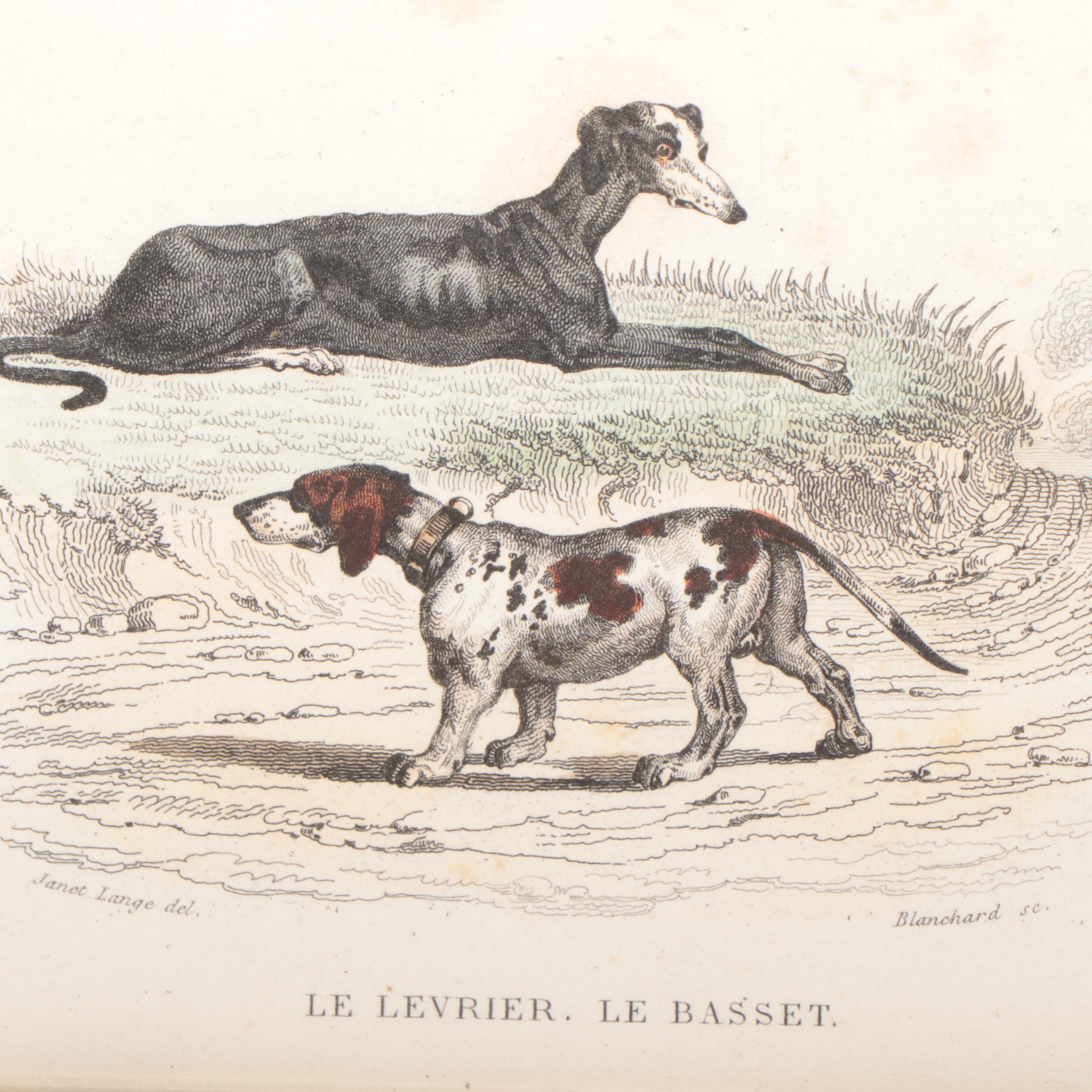 Hand-Colored Bookplate Engravings of Cats, Ducks and More, 19th Century