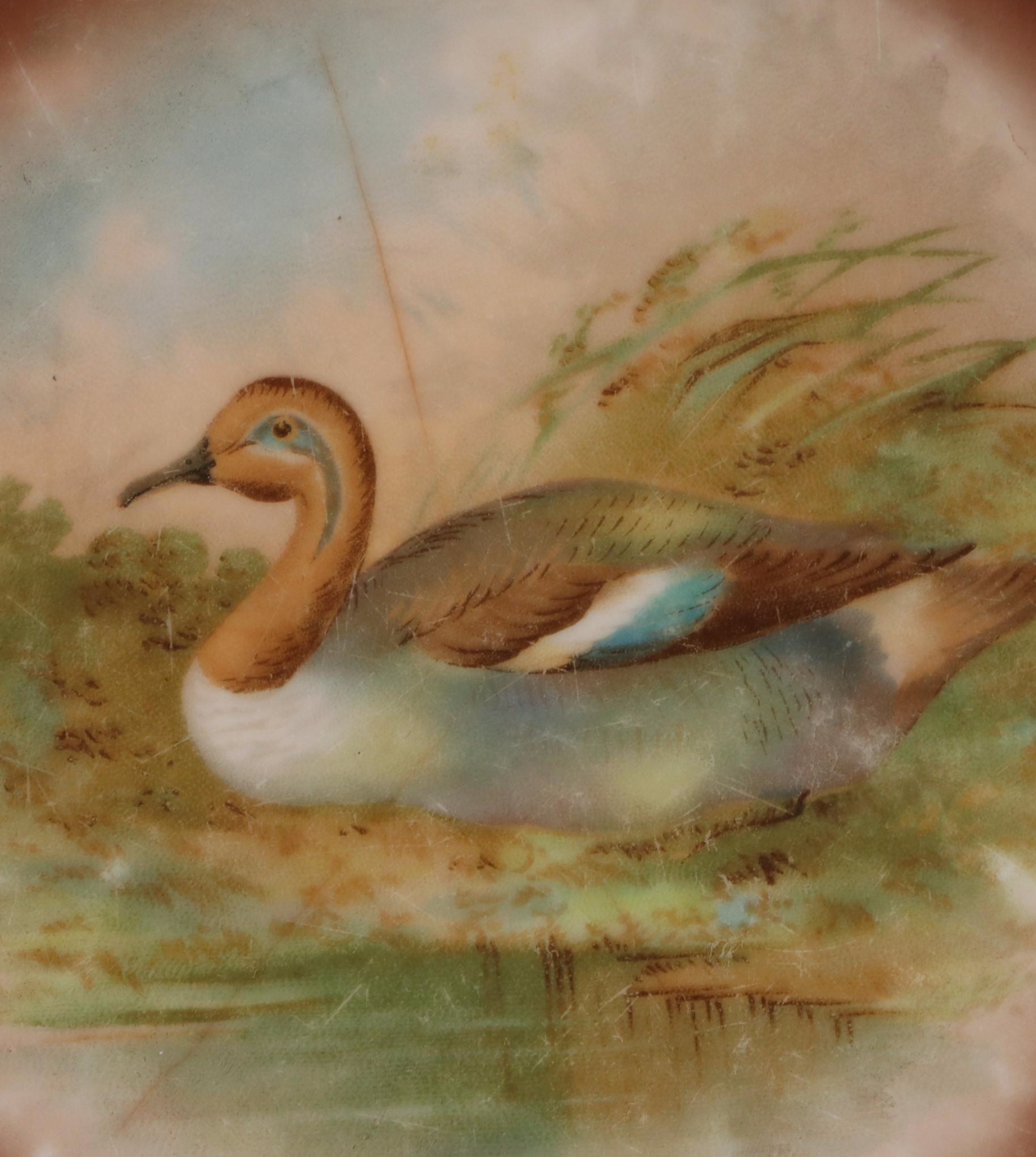 Hand-Painted Wild Bird Motif Porcelain Collectors Plates