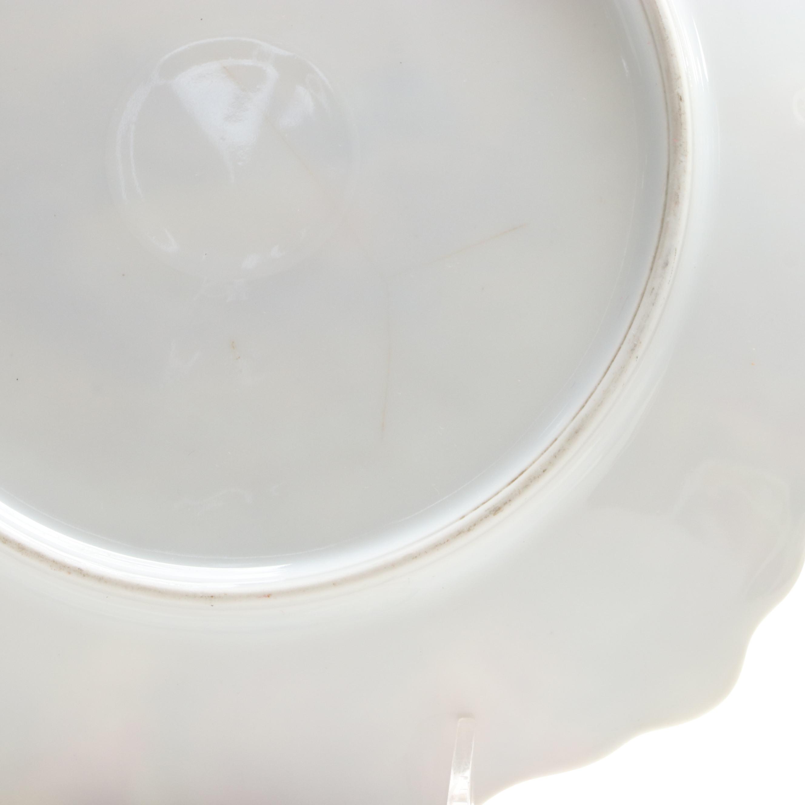 Hand-Painted Wild Bird Motif Porcelain Collectors Plates