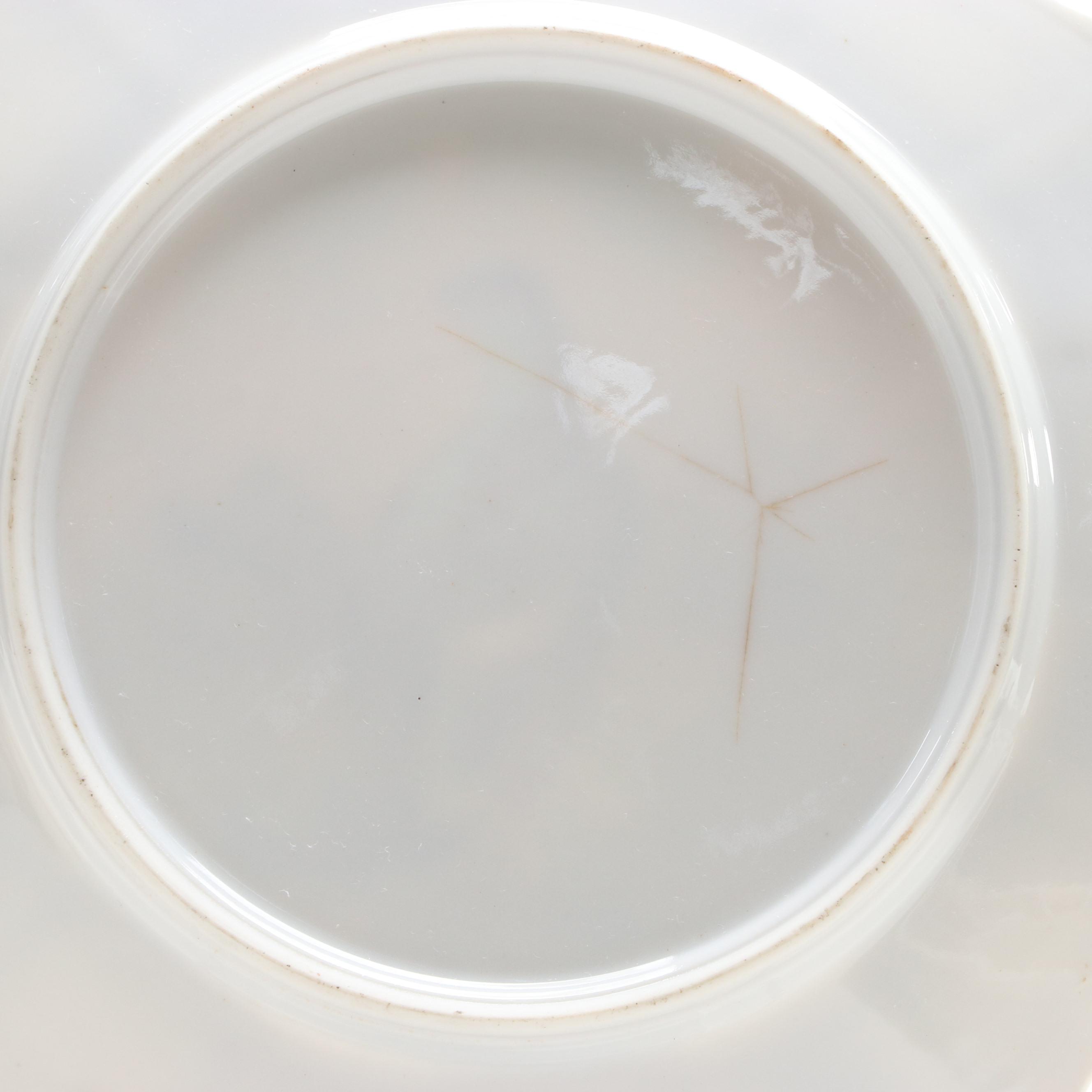 Hand-Painted Wild Bird Motif Porcelain Collectors Plates