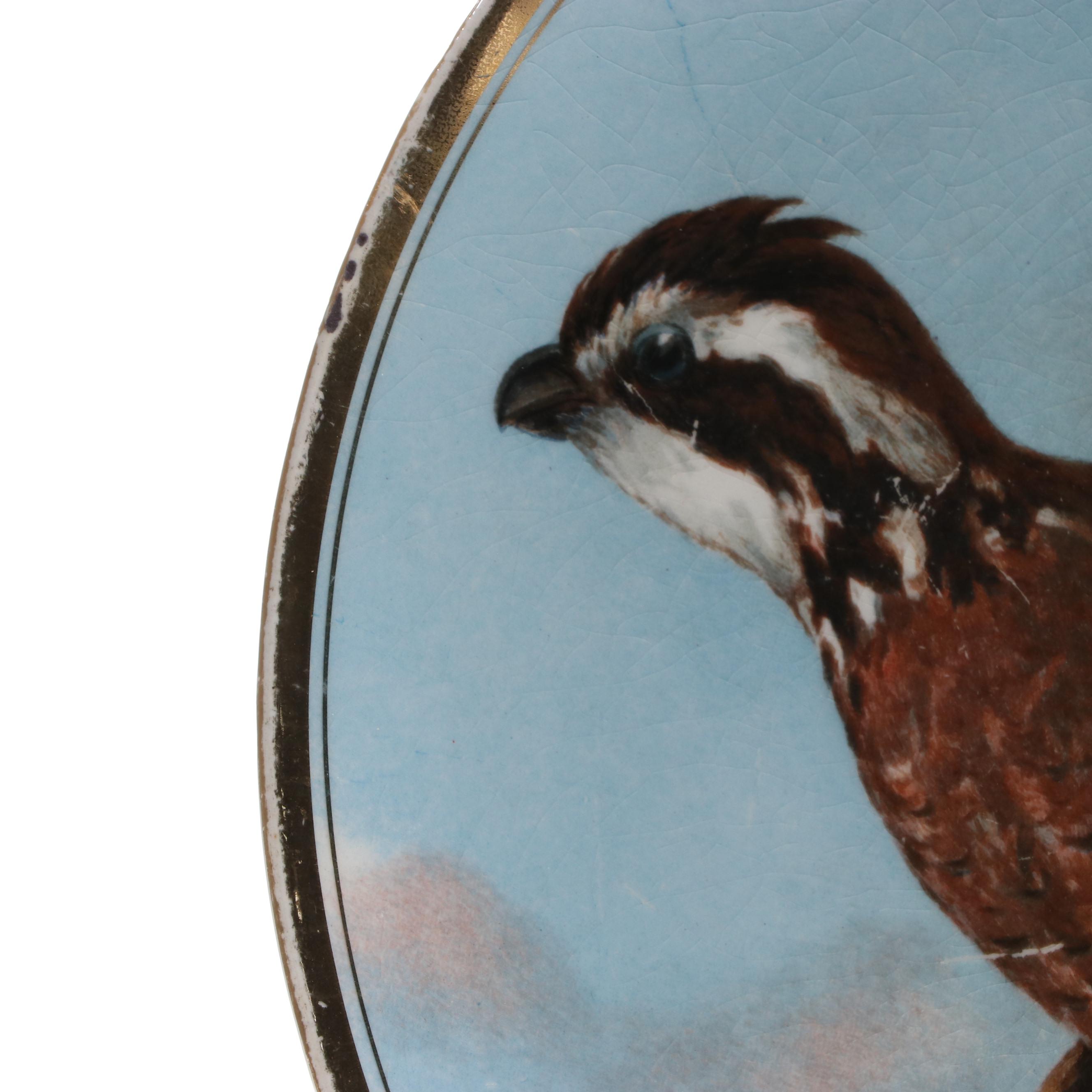 Hand-Painted Wild Bird Motif Porcelain Collectors Plates