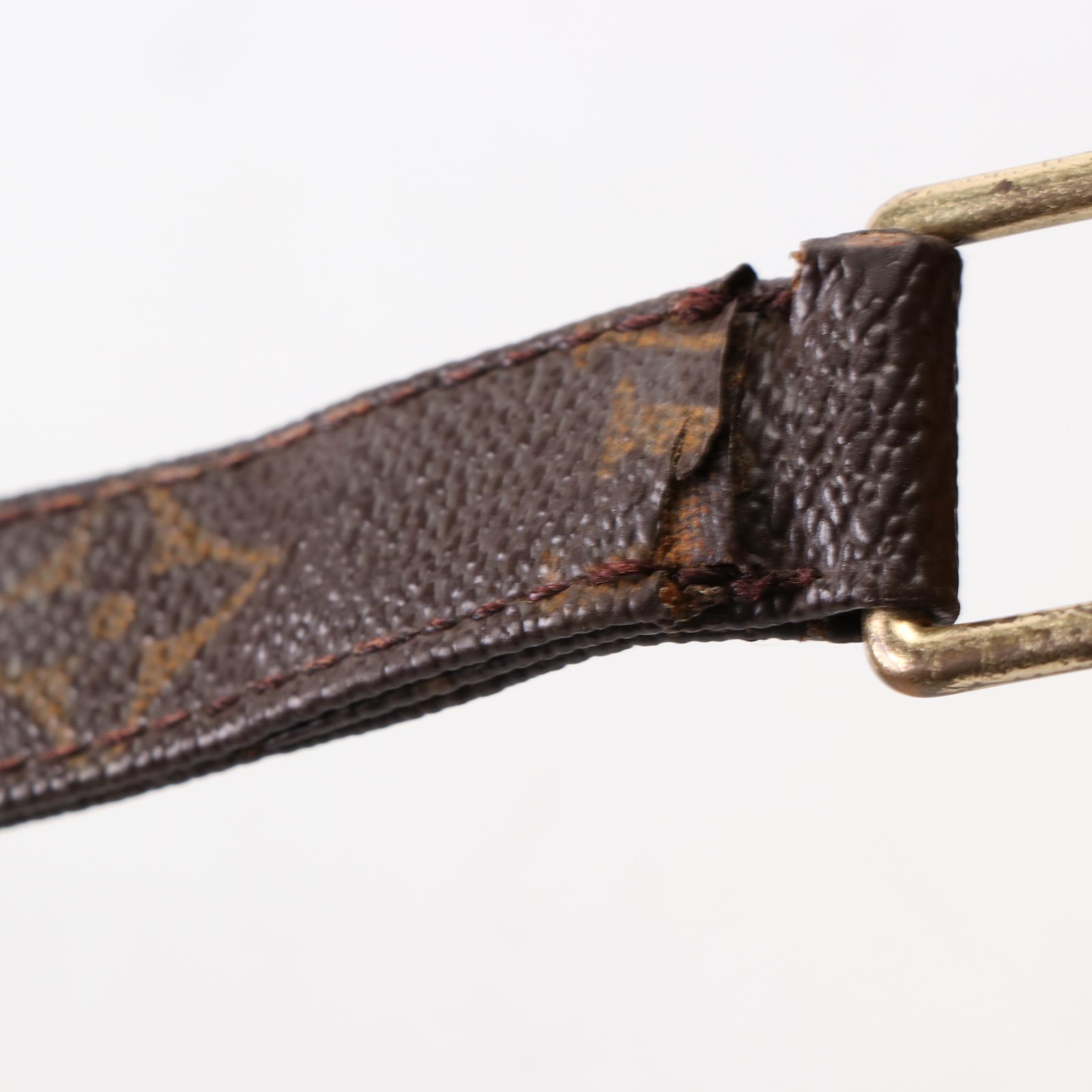 Louis Vuitton Nile Reporter Bag in Monogram Canvas and Vachetta Leather