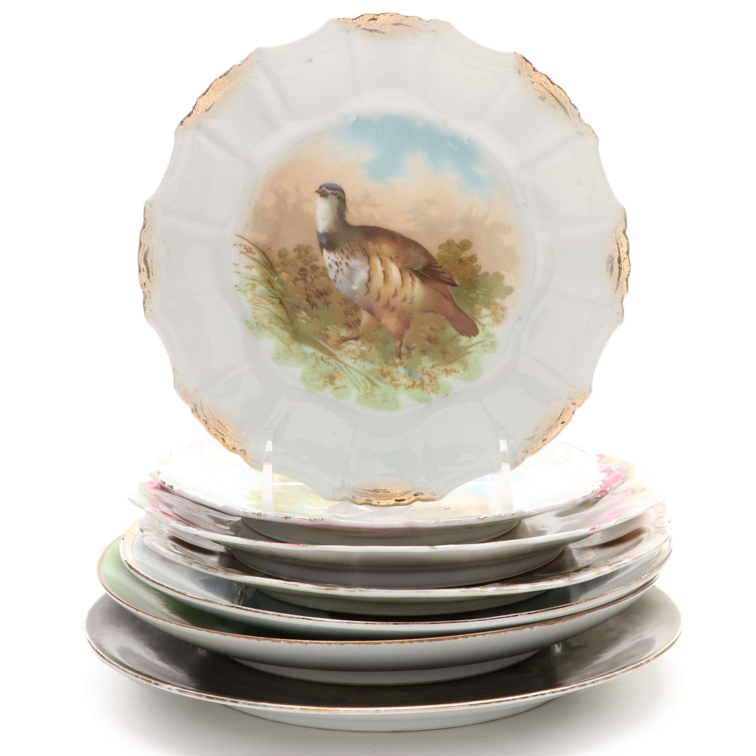 Hand-Painted Wild Bird Motif Porcelain Collectors Plates