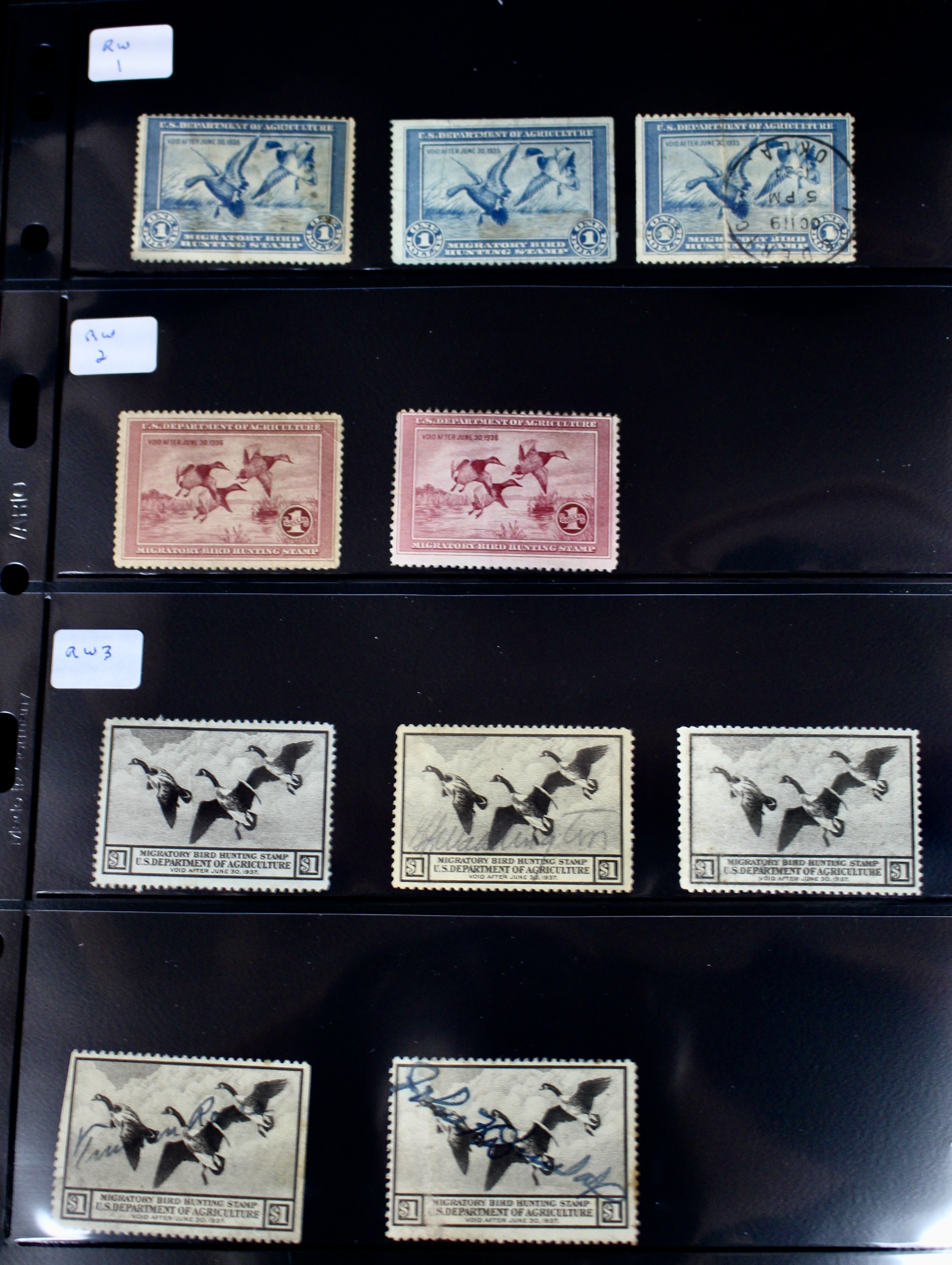 U.S. Duck Stamp Collection