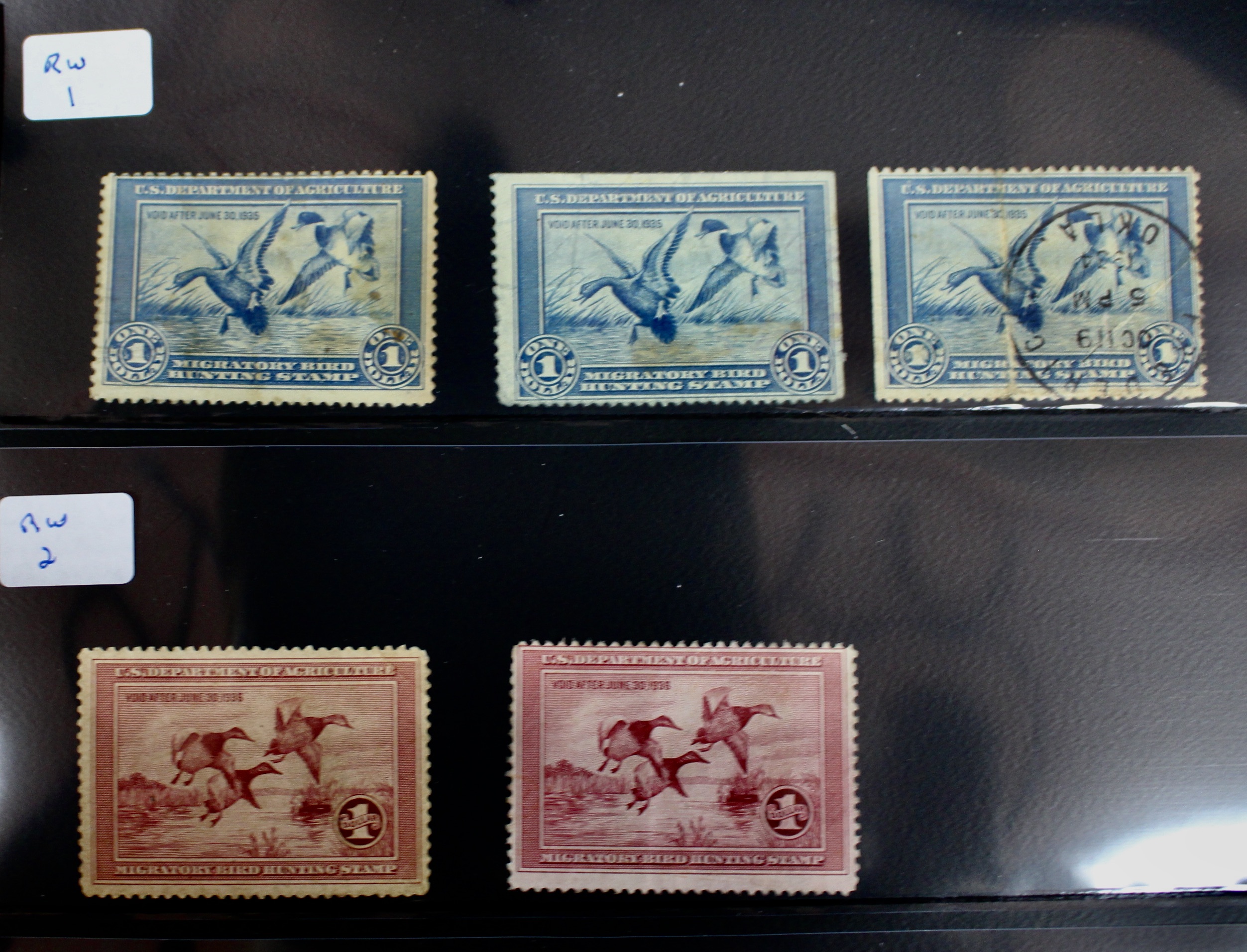 U.S. Duck Stamp Collection