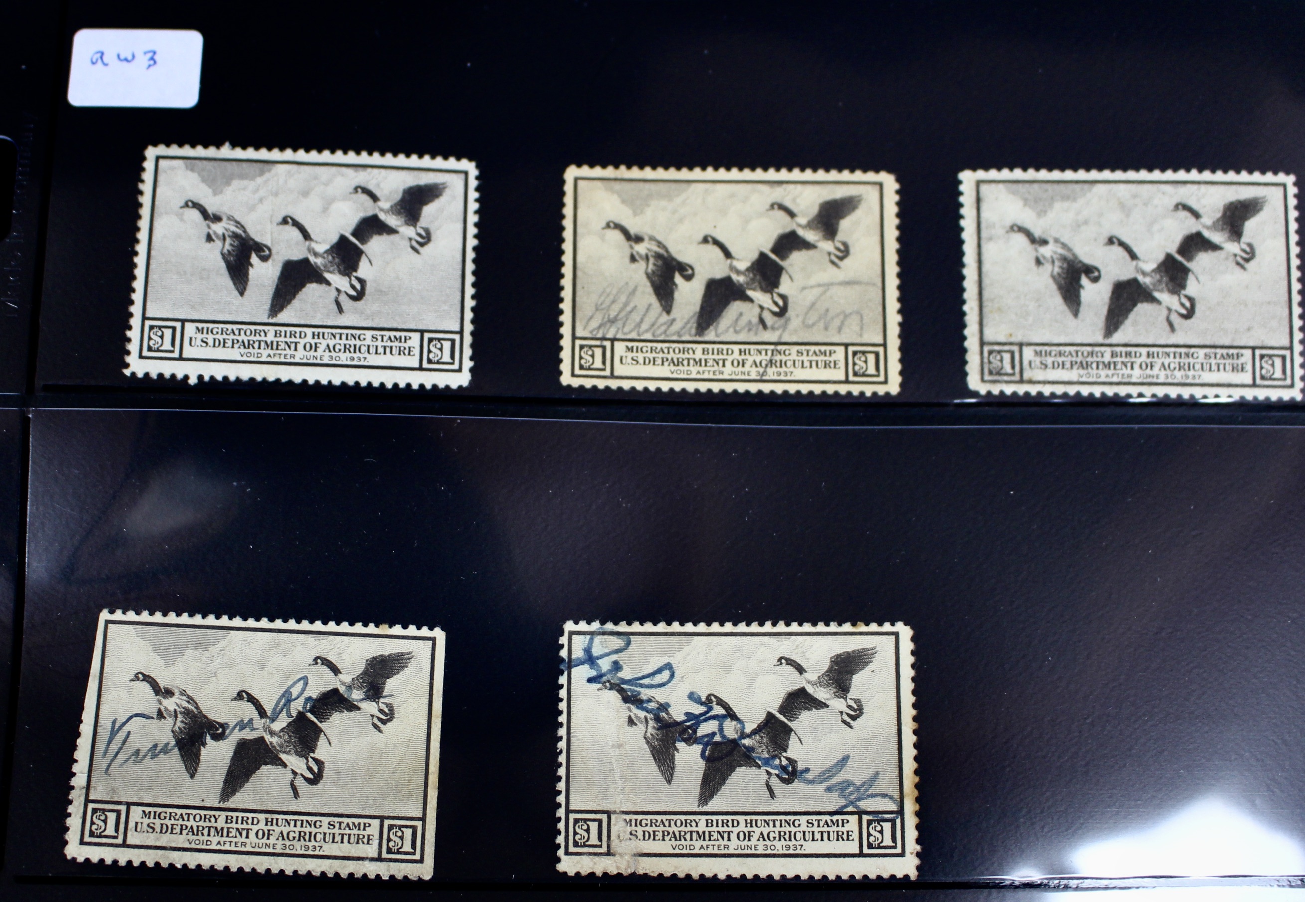U.S. Duck Stamp Collection