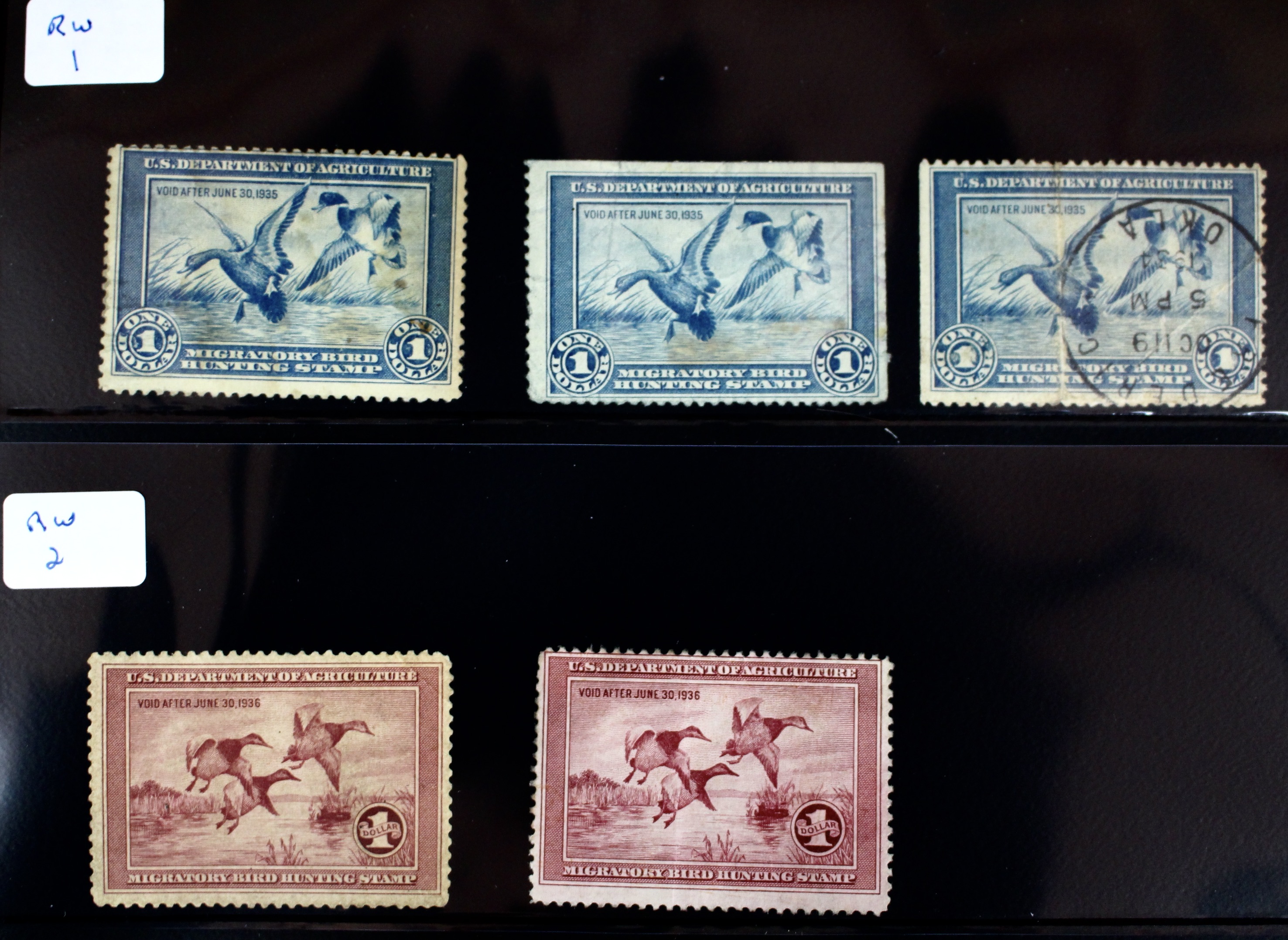 U.S. Duck Stamp Collection