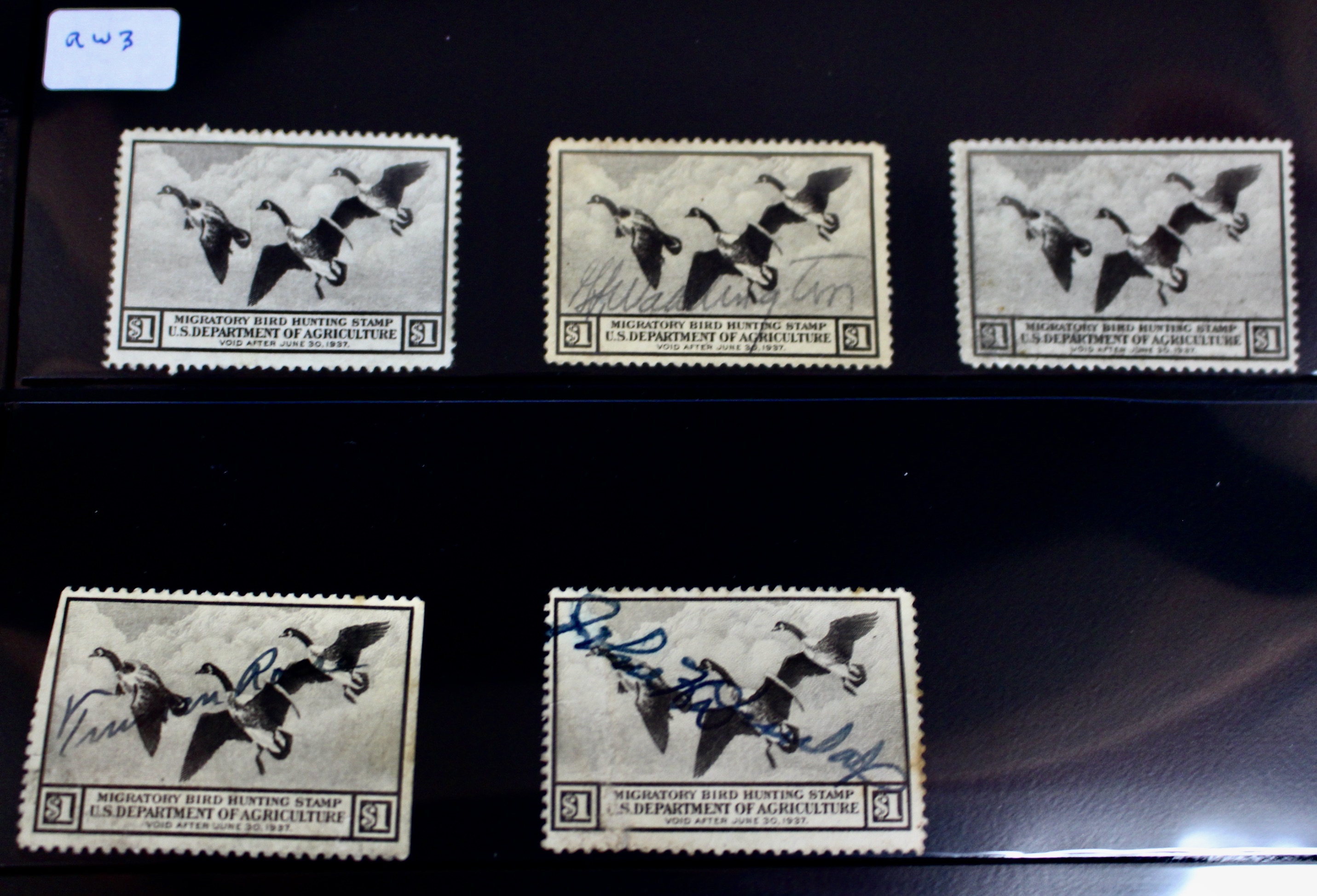 U.S. Duck Stamp Collection