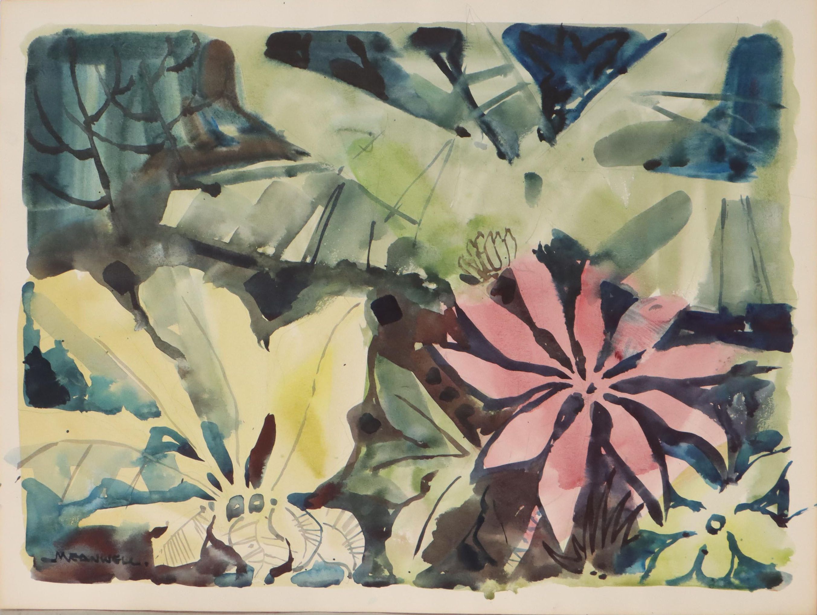 Jack Meanwell Botanical Watercolor Painting, Circa 1978