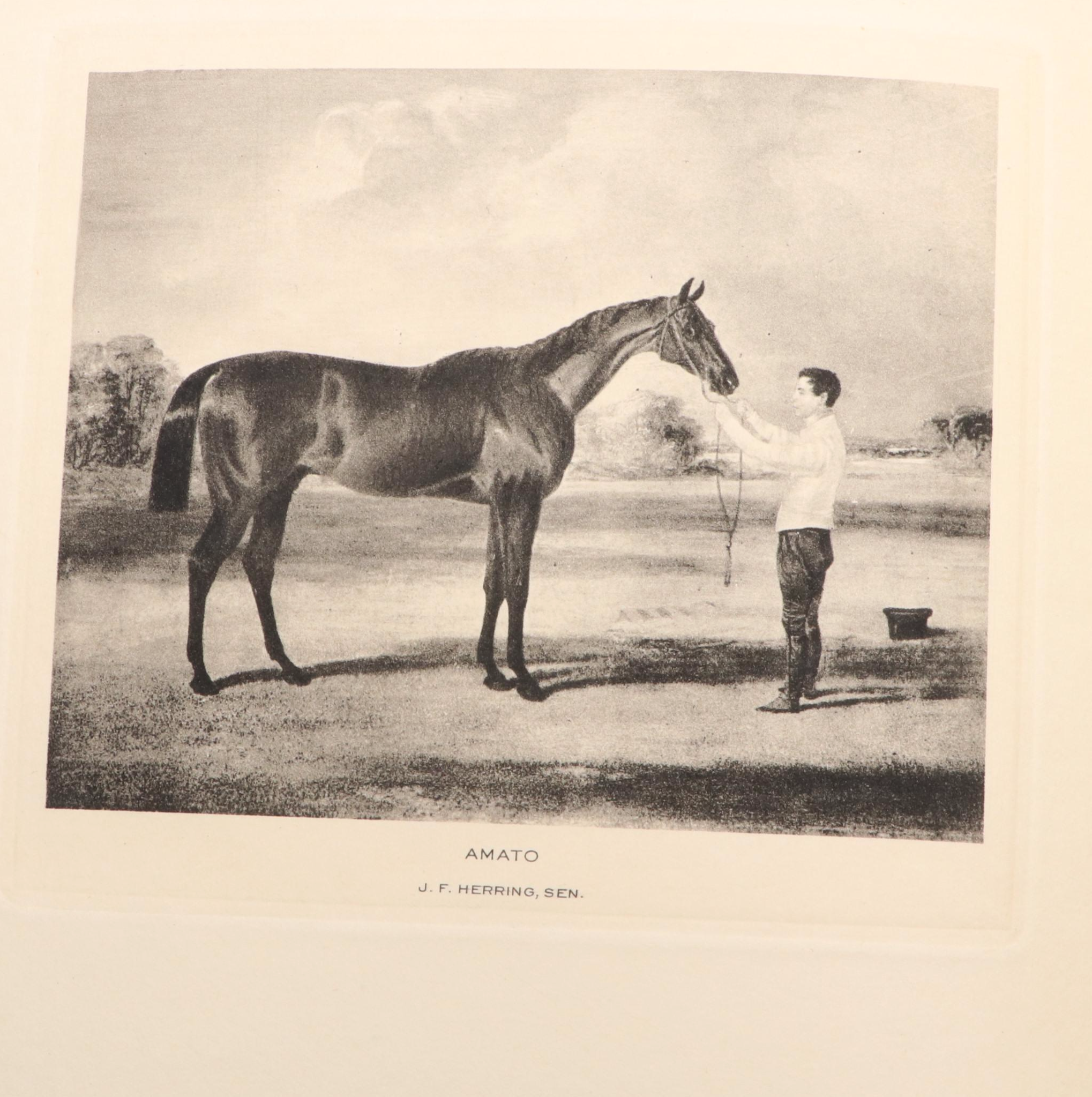Signed "Cherished Portraits of Thoroughbred Horses" with Notes by W. S. Vosburgh