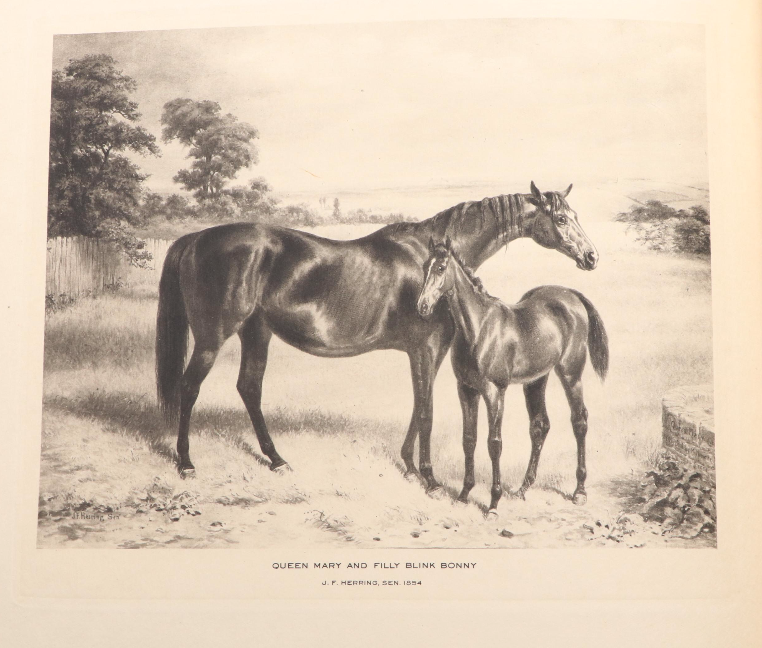 Signed "Cherished Portraits of Thoroughbred Horses" with Notes by W. S. Vosburgh