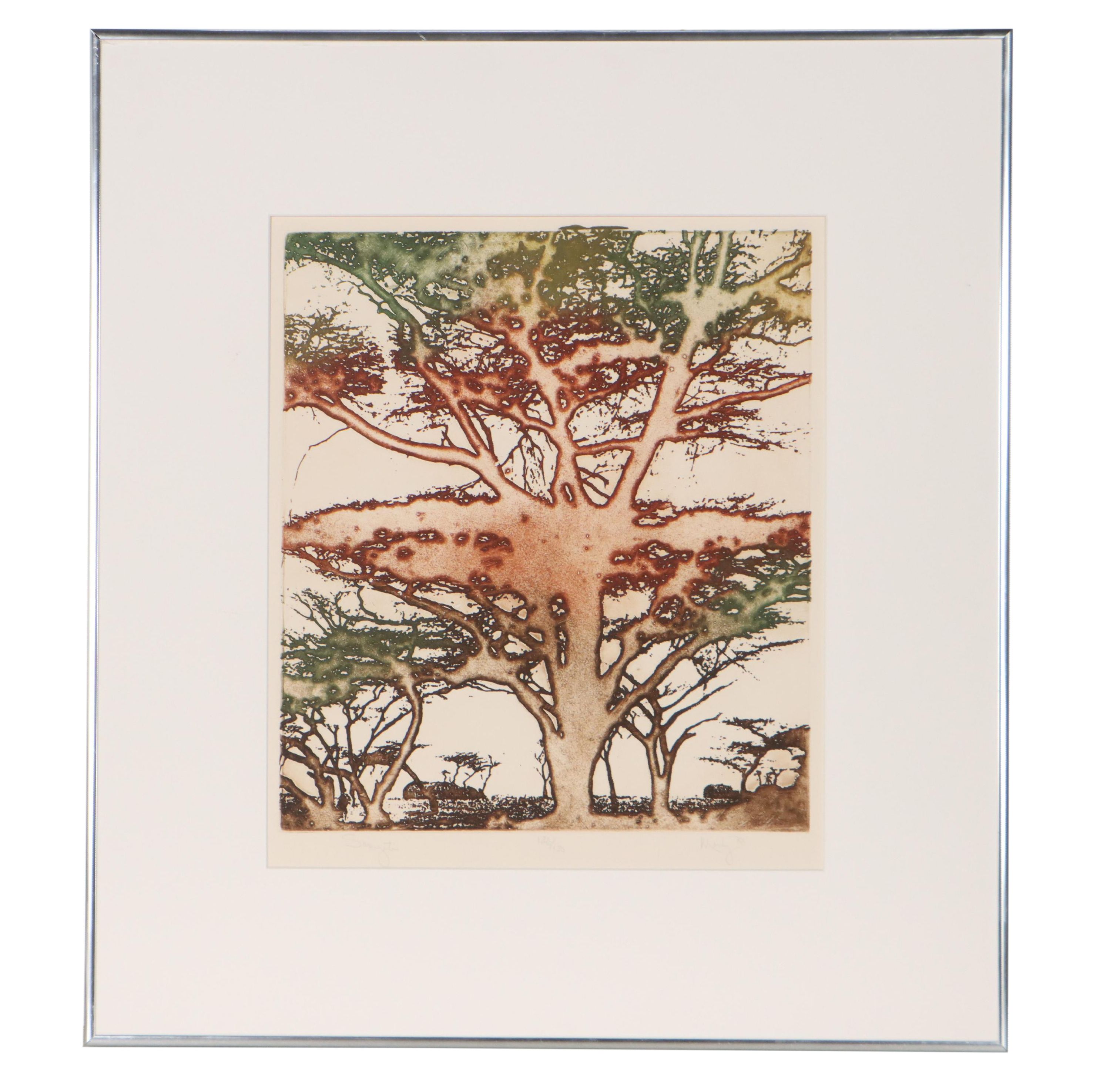 Maidy Morhous Aquatint Etching "Serengeti," 1978
