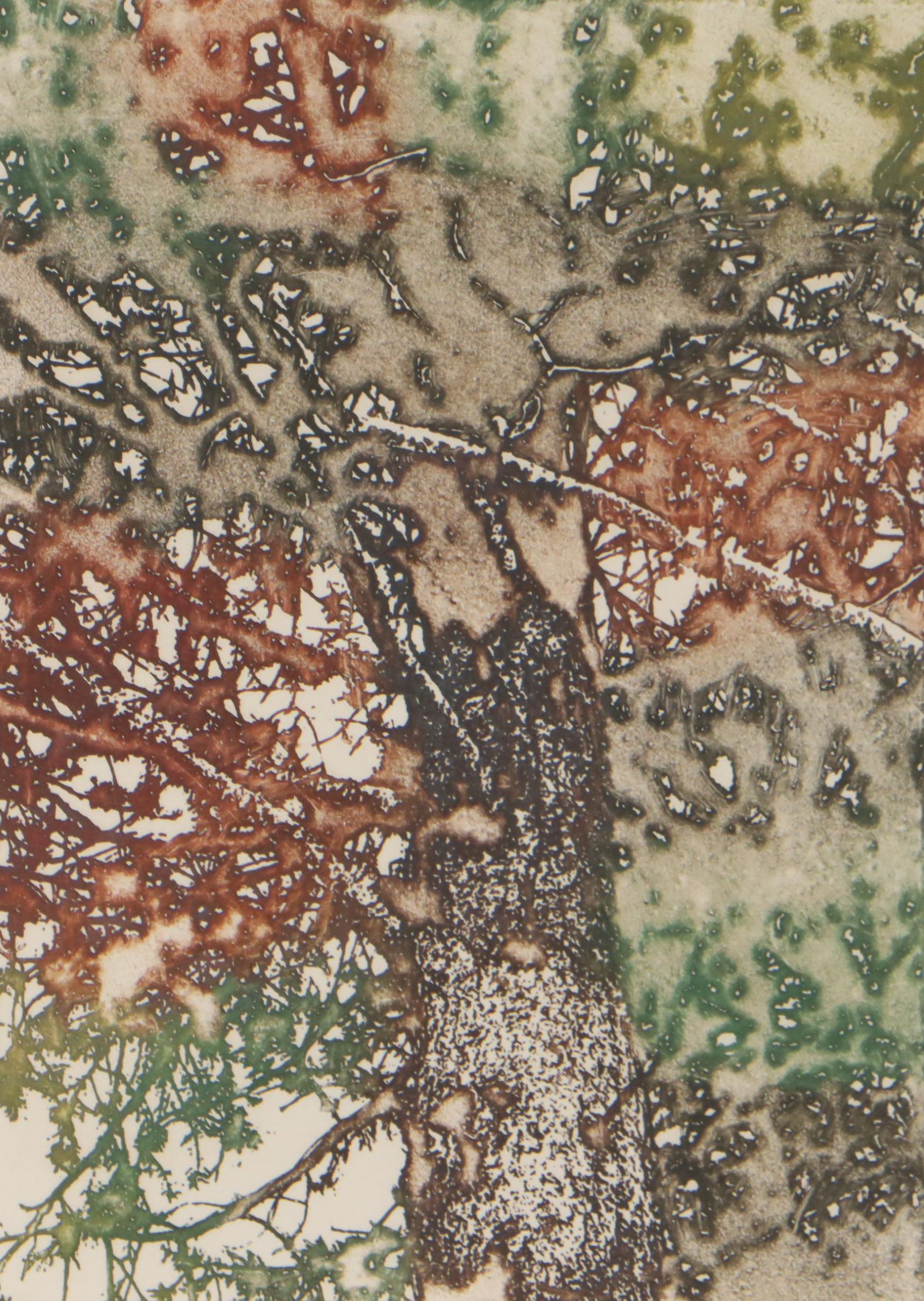 Maidy Morhous Aquatint Etching "Web of Life," 1976