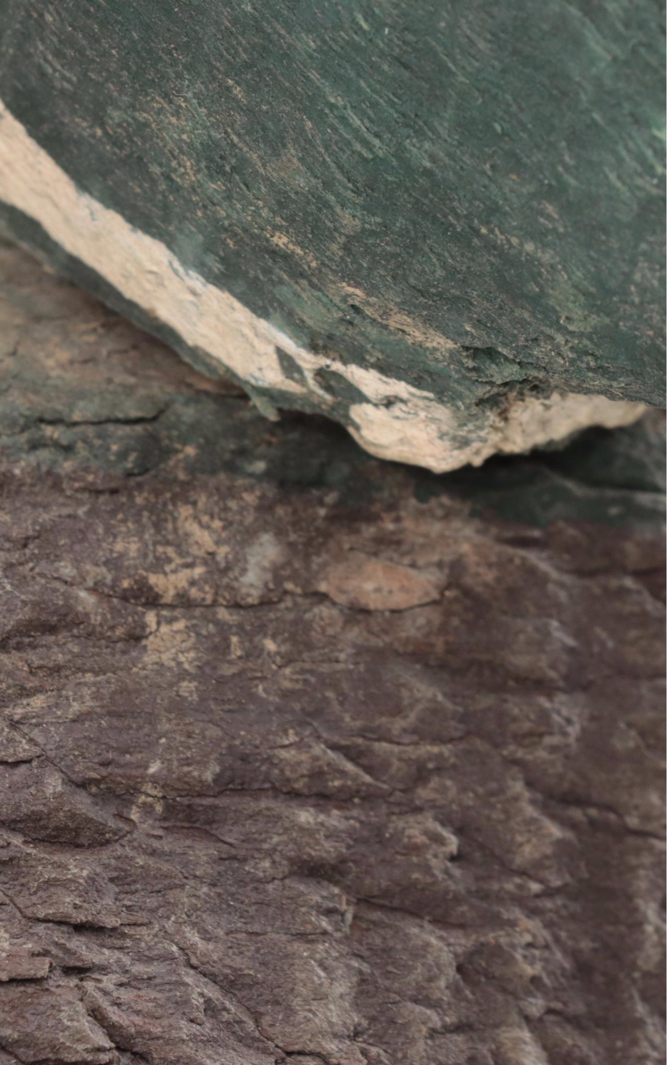 Folk Art Carved Wood Mallard Ducks Decoys