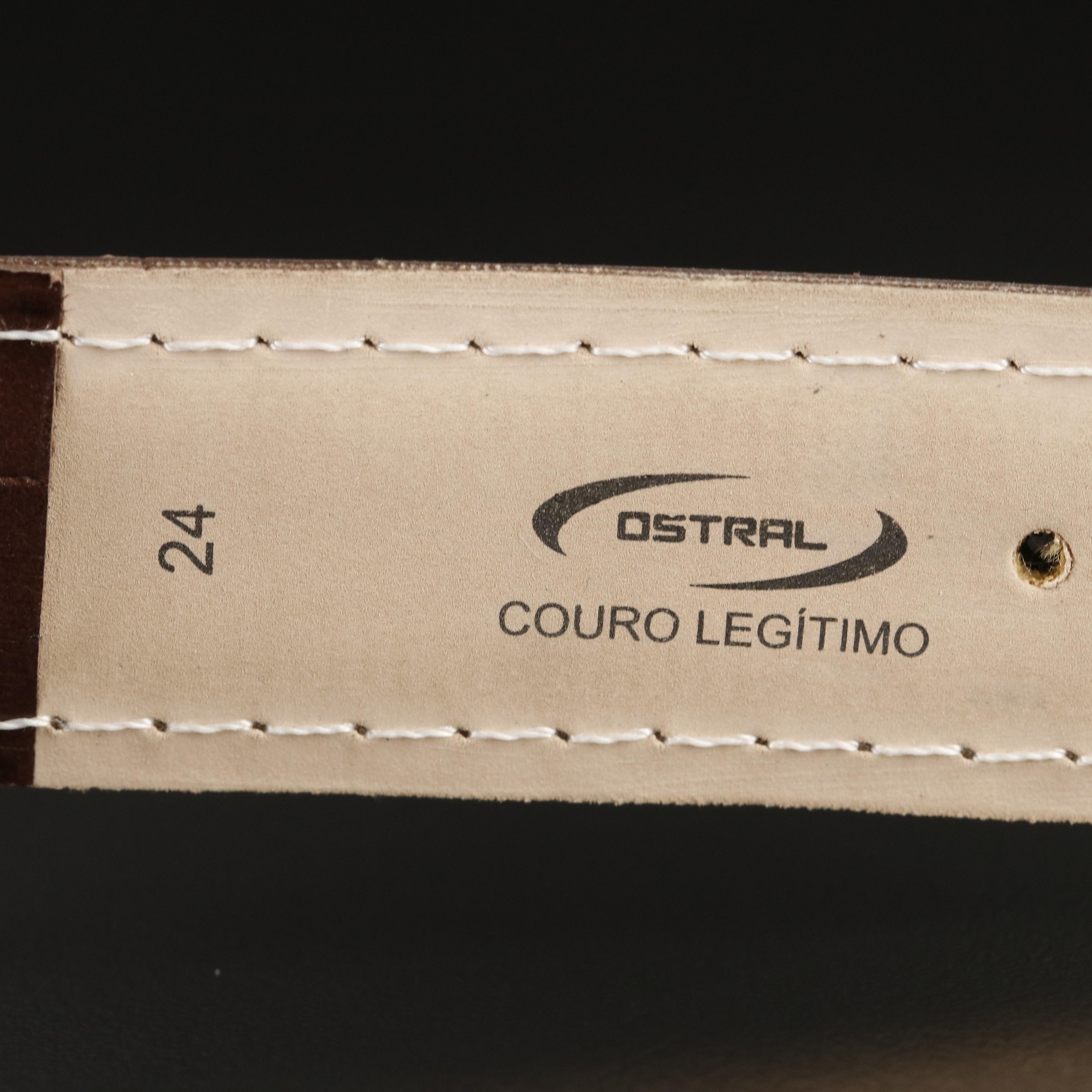 BVLGARI Ergon Automatic Watch