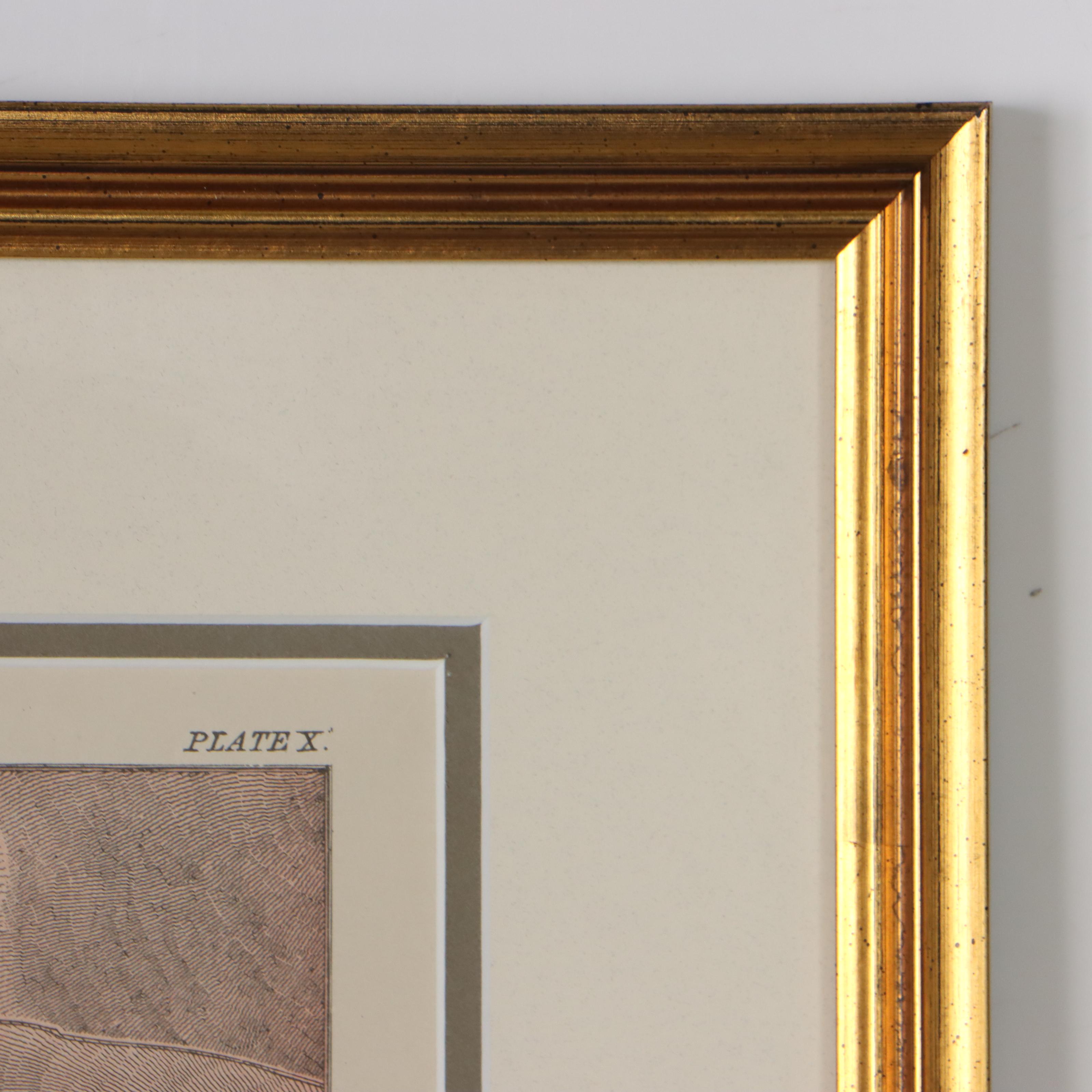 Wax Engraving Map "Jerusalem - Ground Plan of Modern Jerusalem," Circa 1880