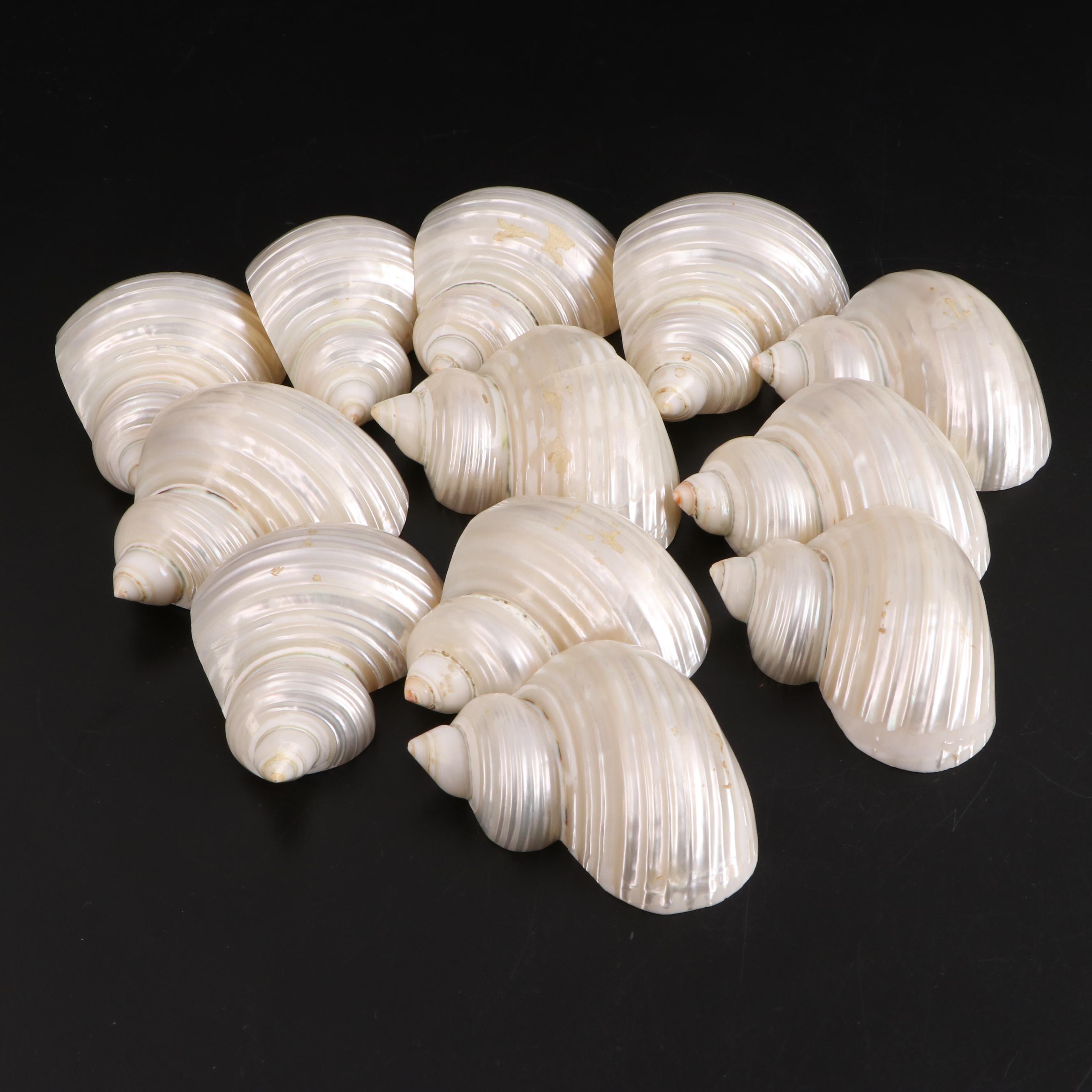Imperial Pressed Glass Knife Rests with Shell Napkin Rings