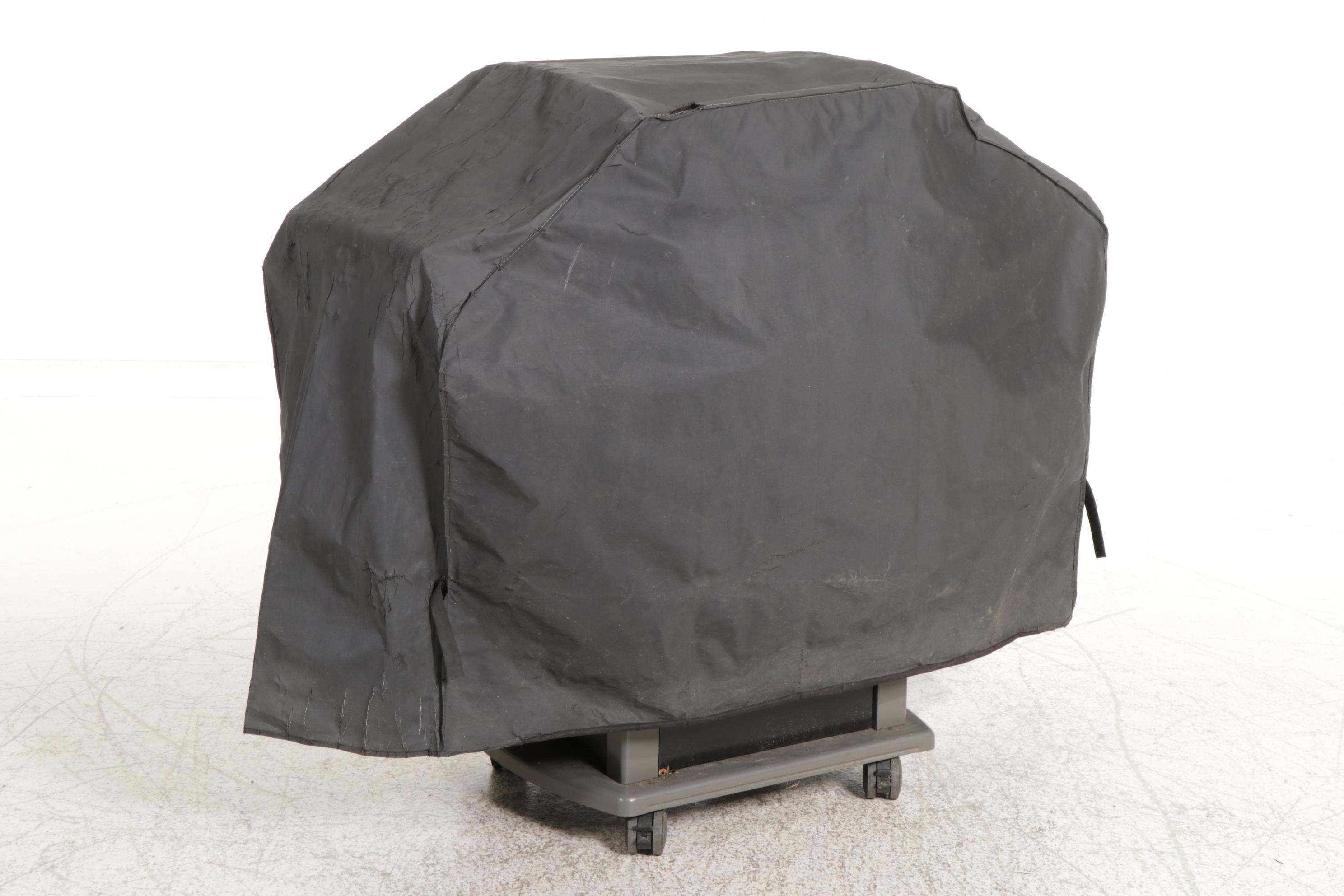 Weber Spirit Gas Grill