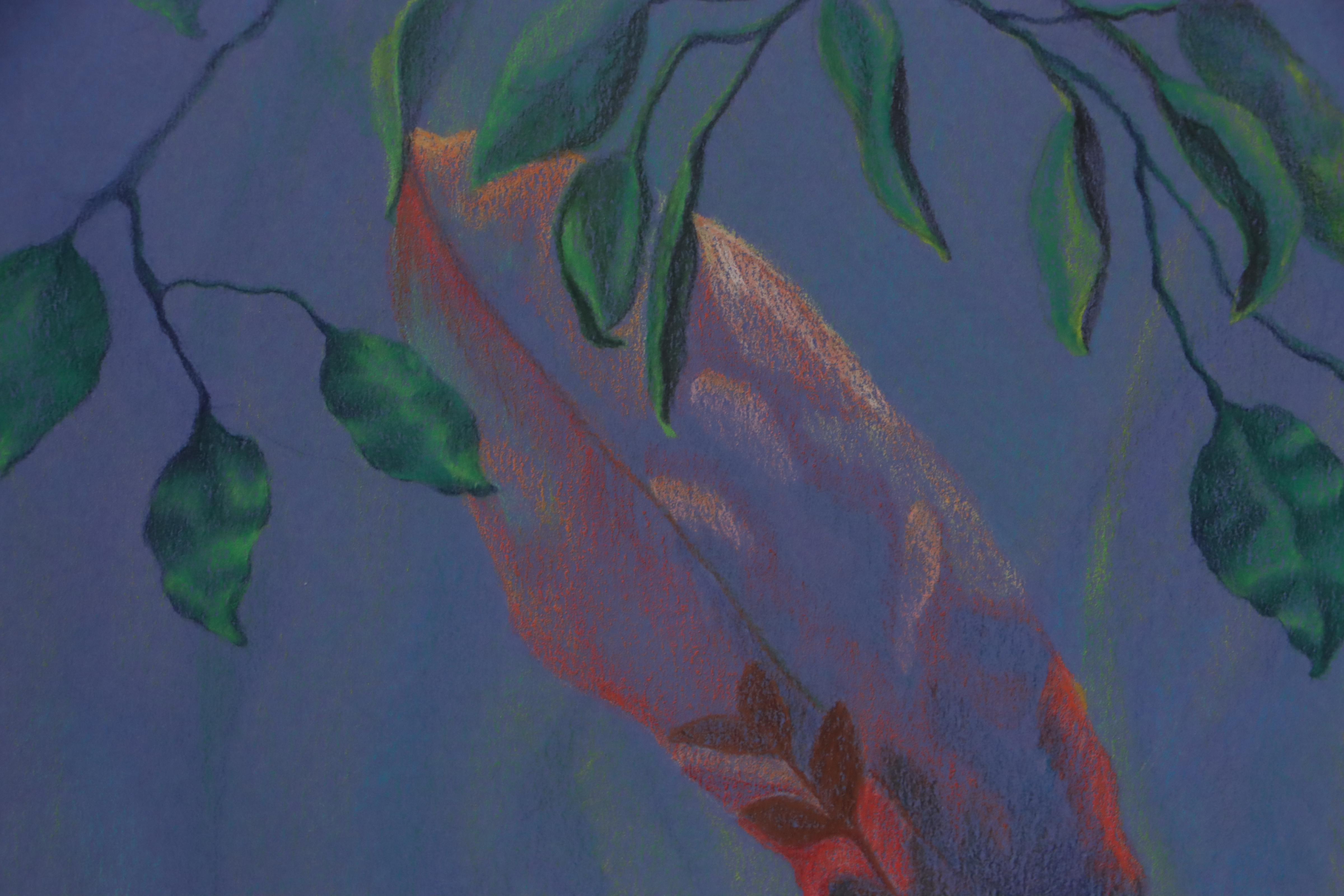 Cynthia Gregory Drawing "Colored Pencil Study of Plants at Krohn Conservatory"