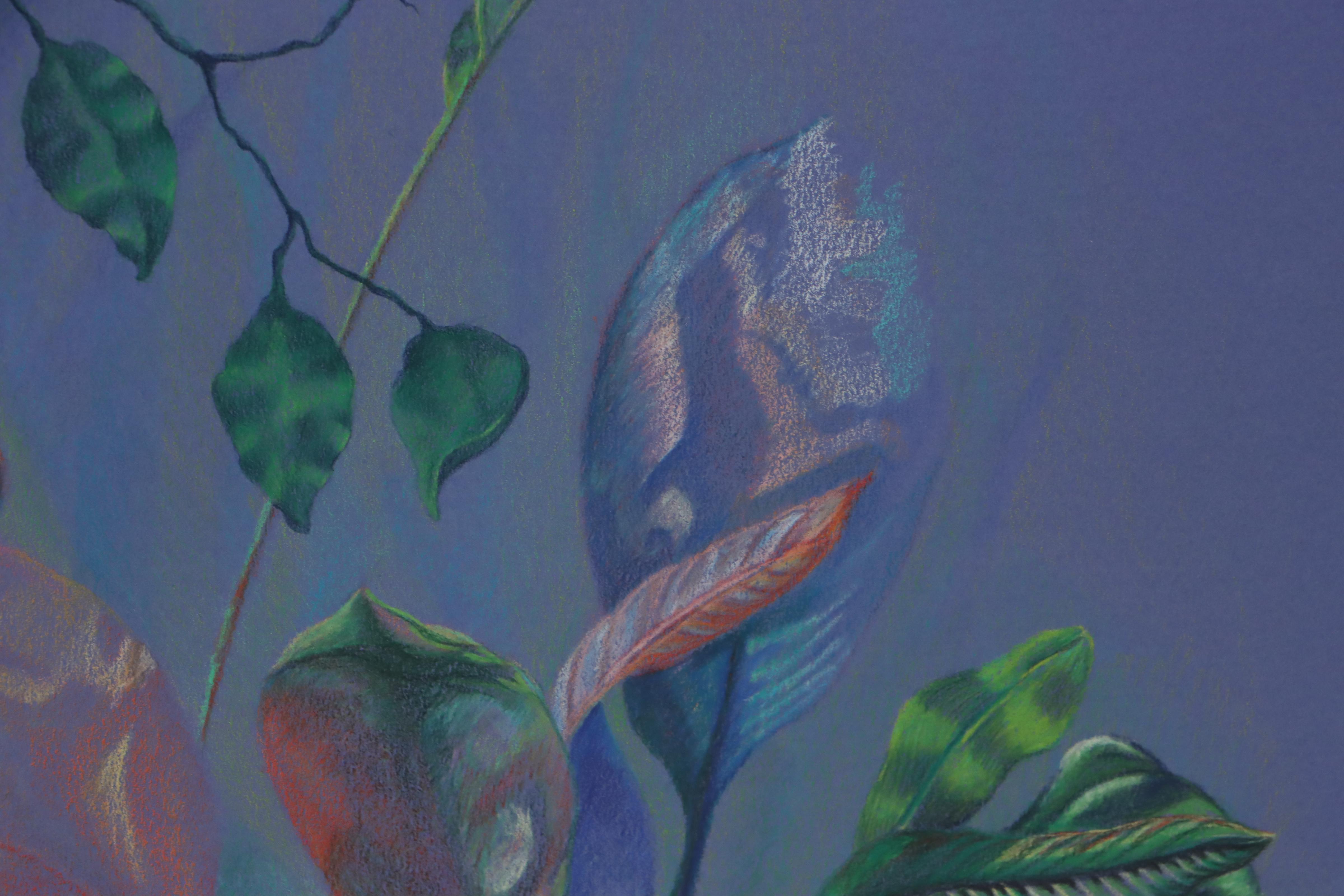 Cynthia Gregory Drawing "Colored Pencil Study of Plants at Krohn Conservatory"