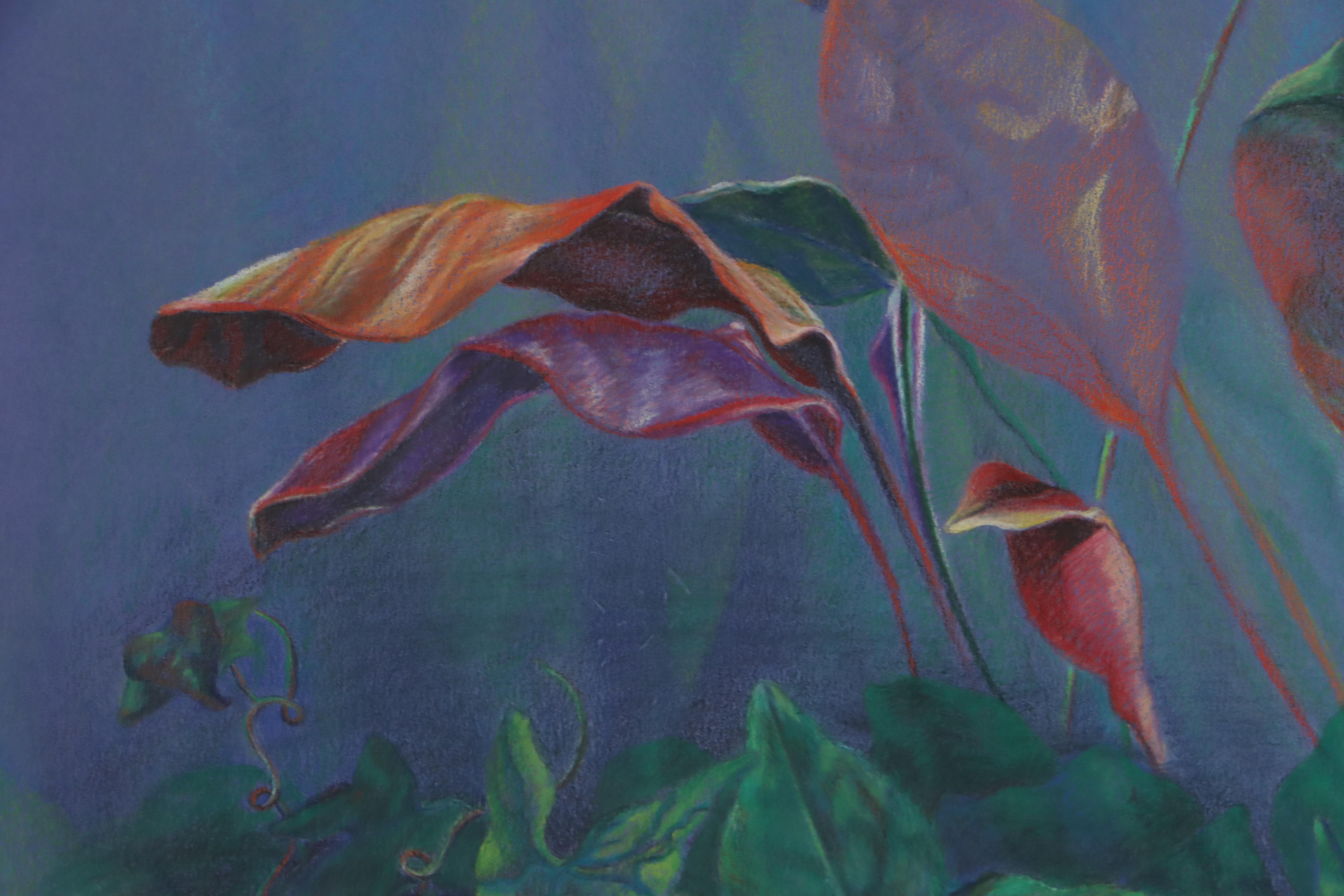 Cynthia Gregory Drawing "Colored Pencil Study of Plants at Krohn Conservatory"