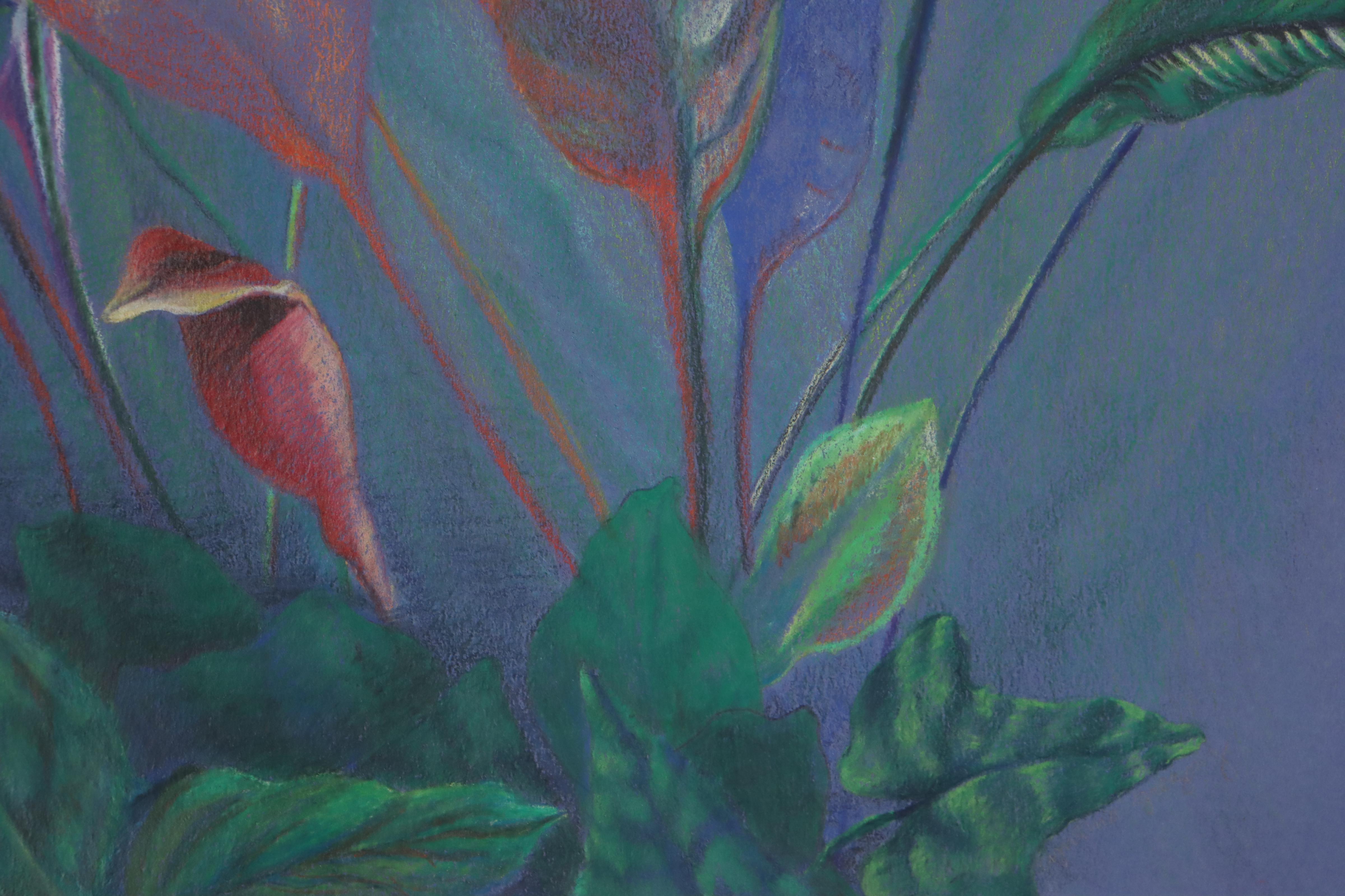 Cynthia Gregory Drawing "Colored Pencil Study of Plants at Krohn Conservatory"