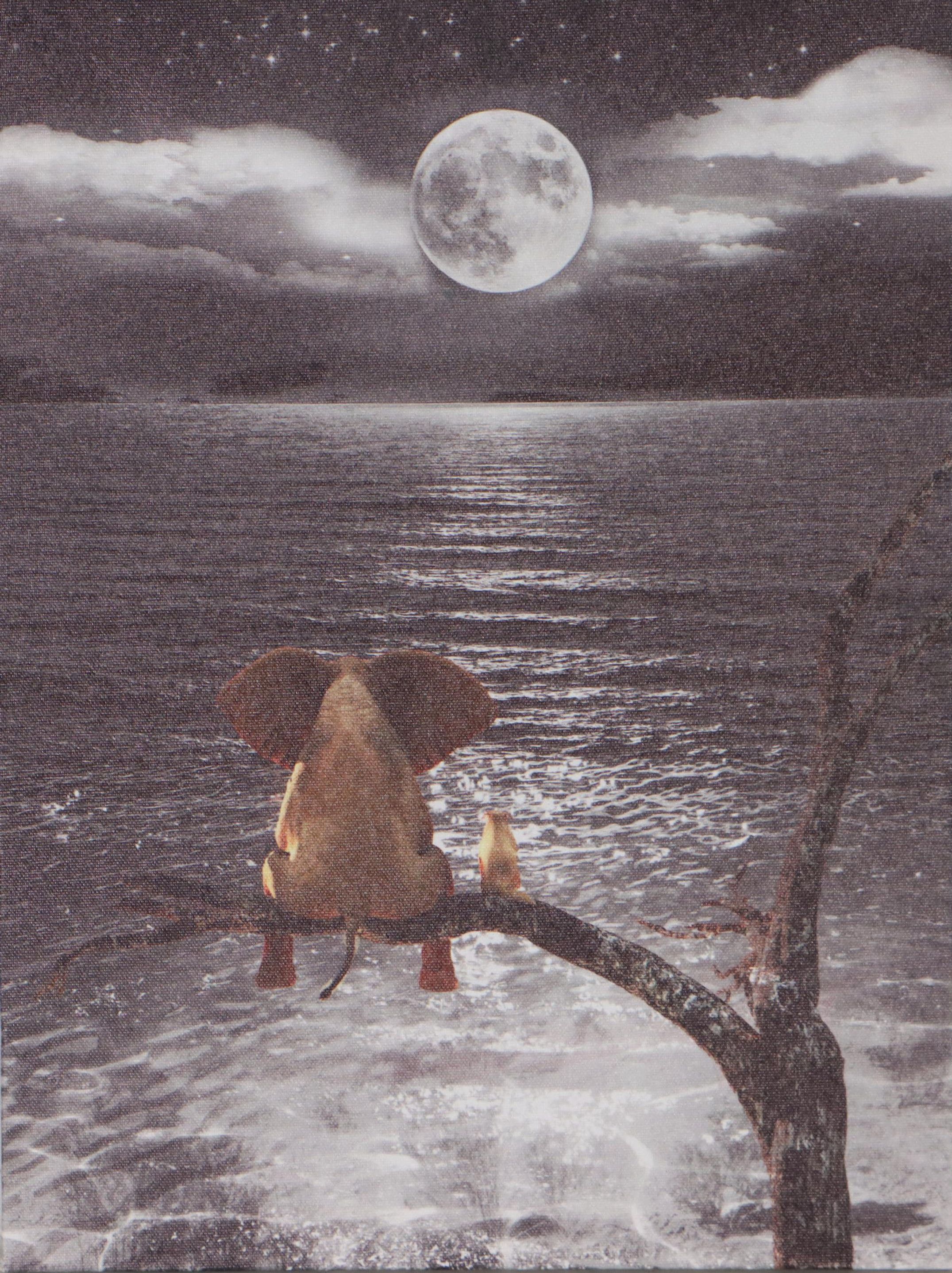 Surreal Giclée "Éléphant dans la nuit des arbres"