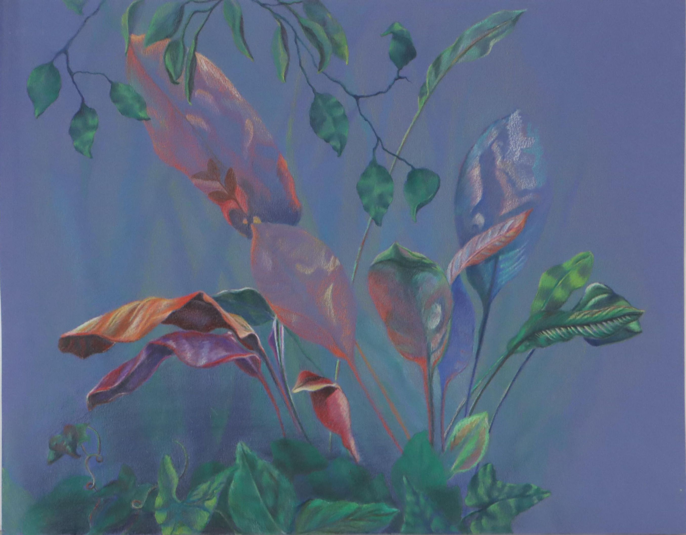 Cynthia Gregory Drawing "Colored Pencil Study of Plants at Krohn Conservatory"