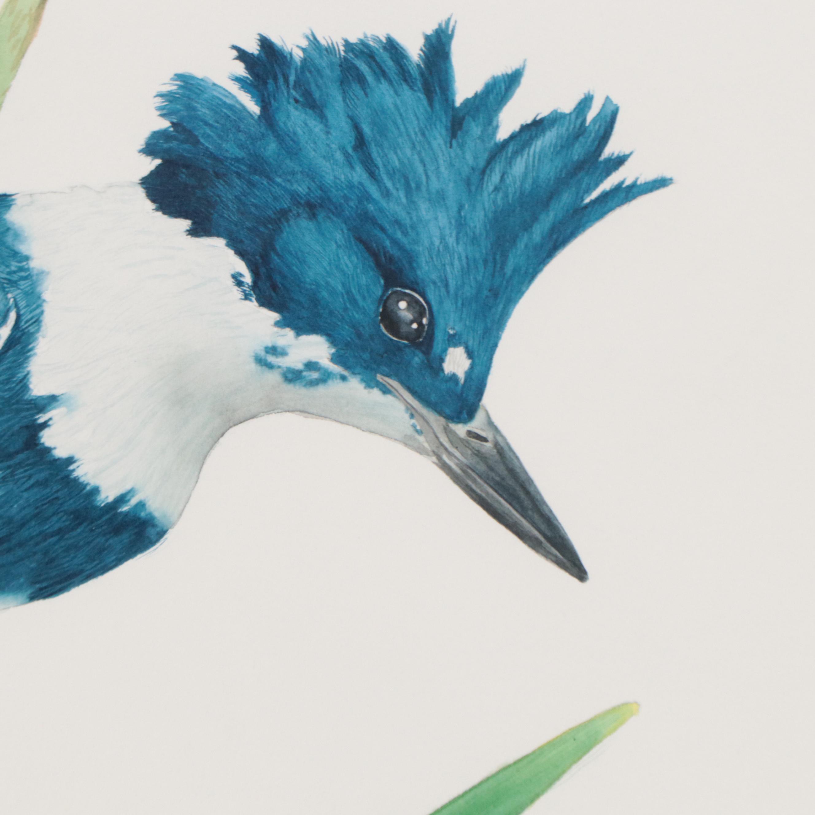 Kurt Plinke Watercolor Painting of Bird, 1980