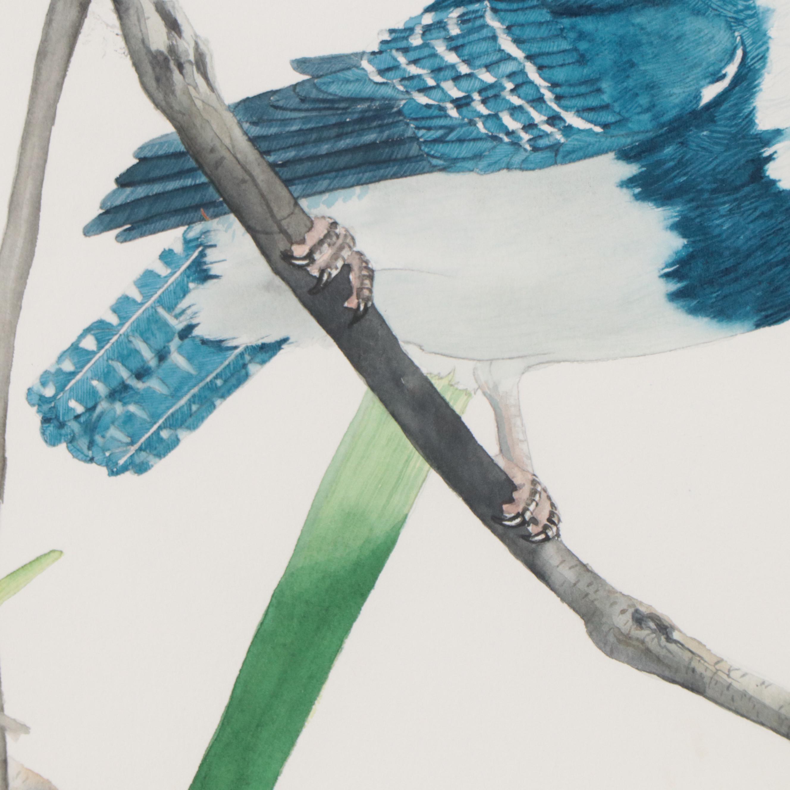 Kurt Plinke Watercolor Painting of Bird, 1980