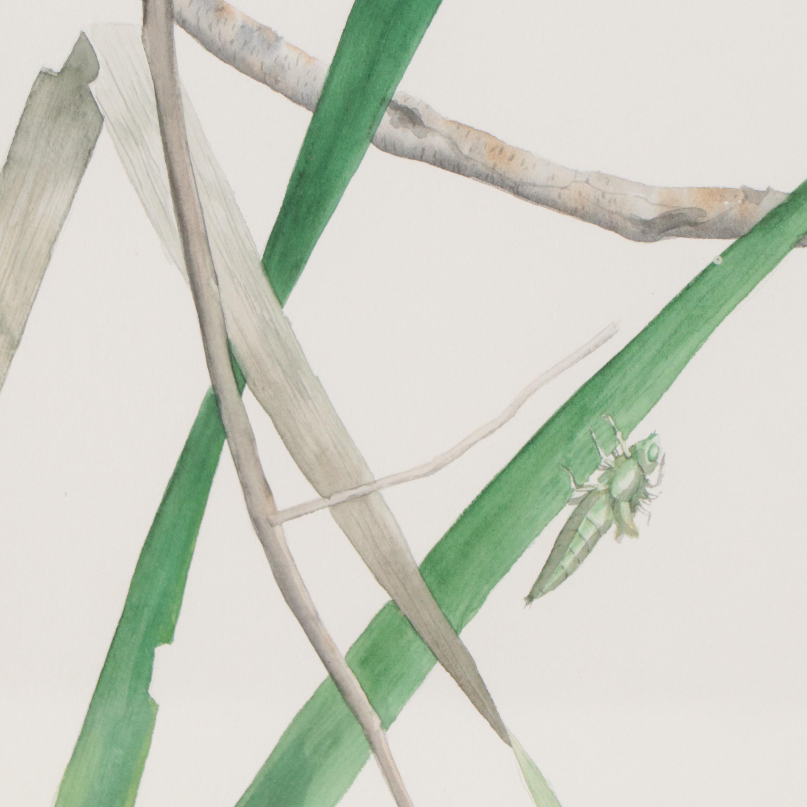 Kurt Plinke Watercolor Painting of Bird, 1980