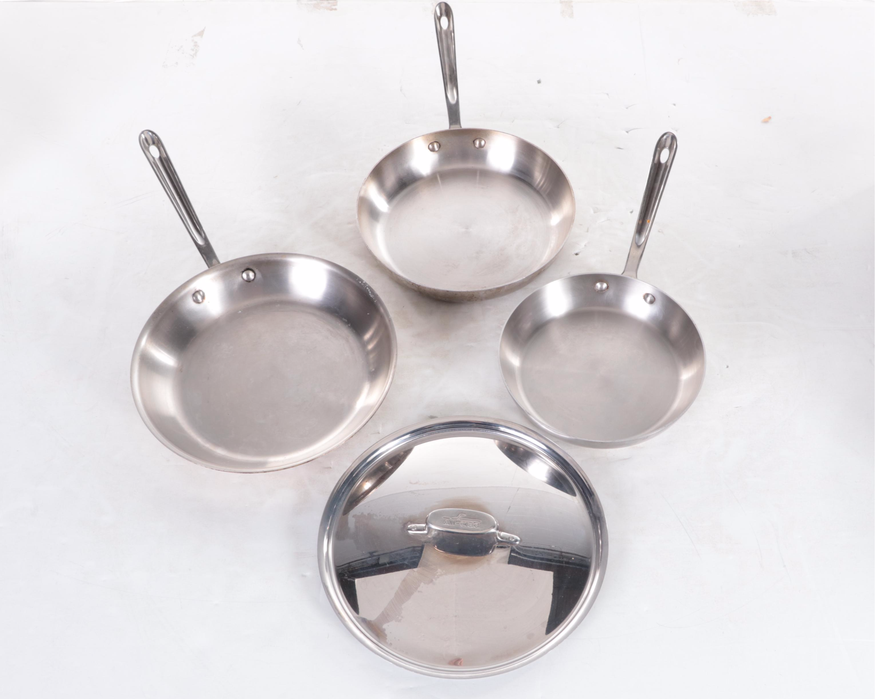 Vesta Immersion Circulator with Other Stainless Steel Cookware