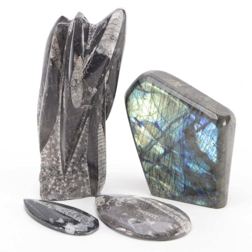 Polished Orthoceras Tower and Paperweights with Polished Labradorite Specimen