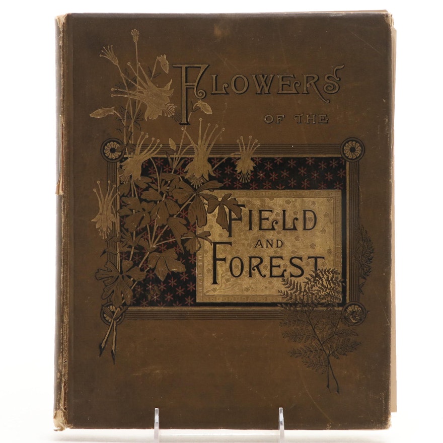 Illustrated "Flowers of the Field and Forest" by A. B. Hervey, 1882