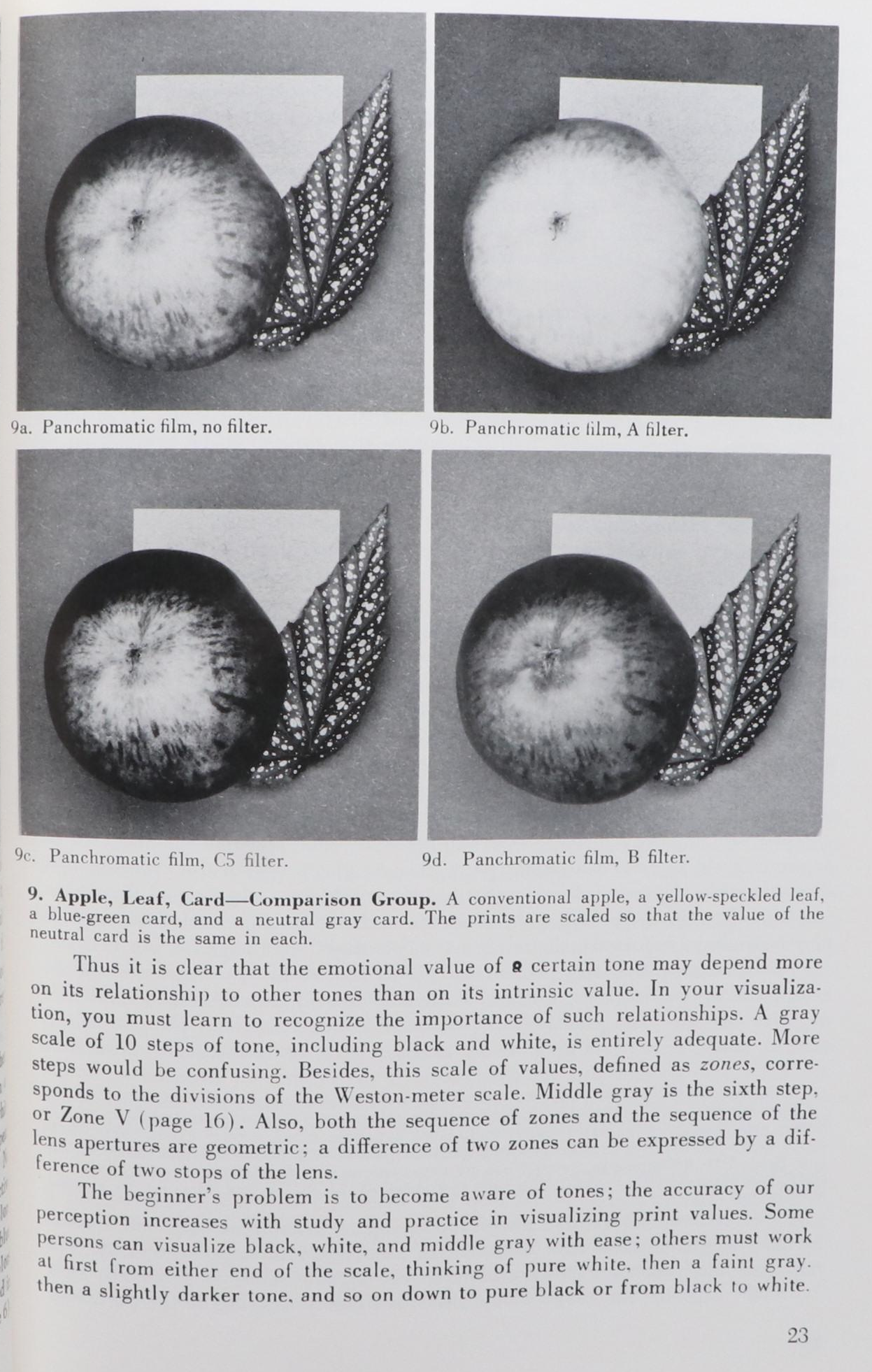 Signed Ansel Adams Photography Books Including "The Camera" and "The Negative"