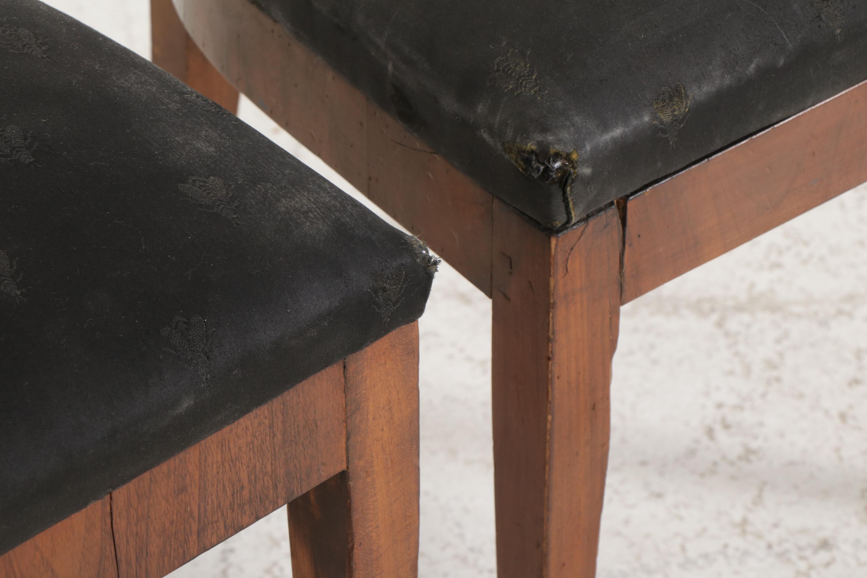 Pair of Biedermeier Fruitwood Scroll Back Side Chairs, 19th Century